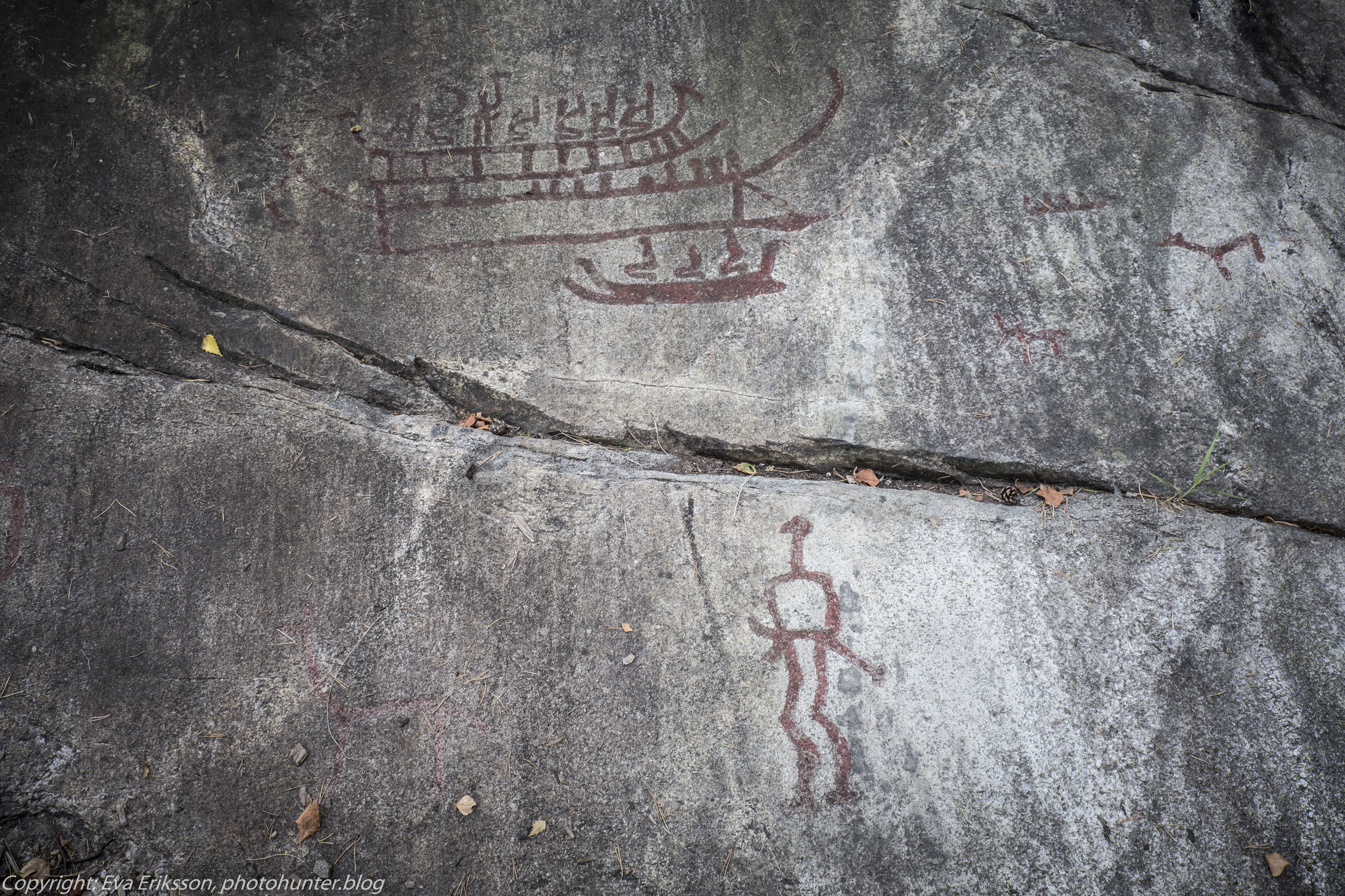 18082020-18082020-_DSF6276