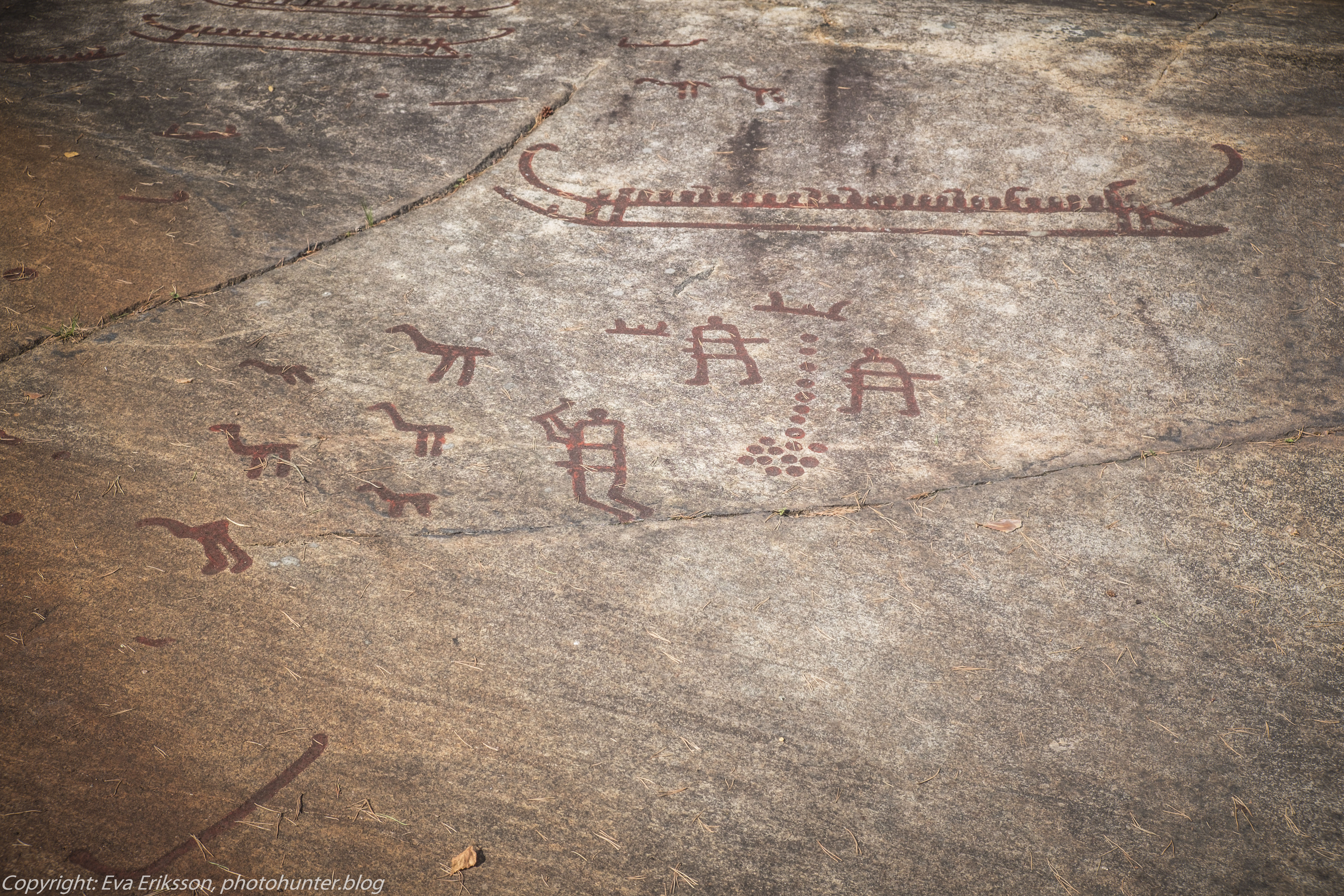 18082020-18082020-_DSF6295