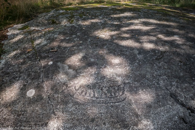 18082020-18082020-_DSF6313