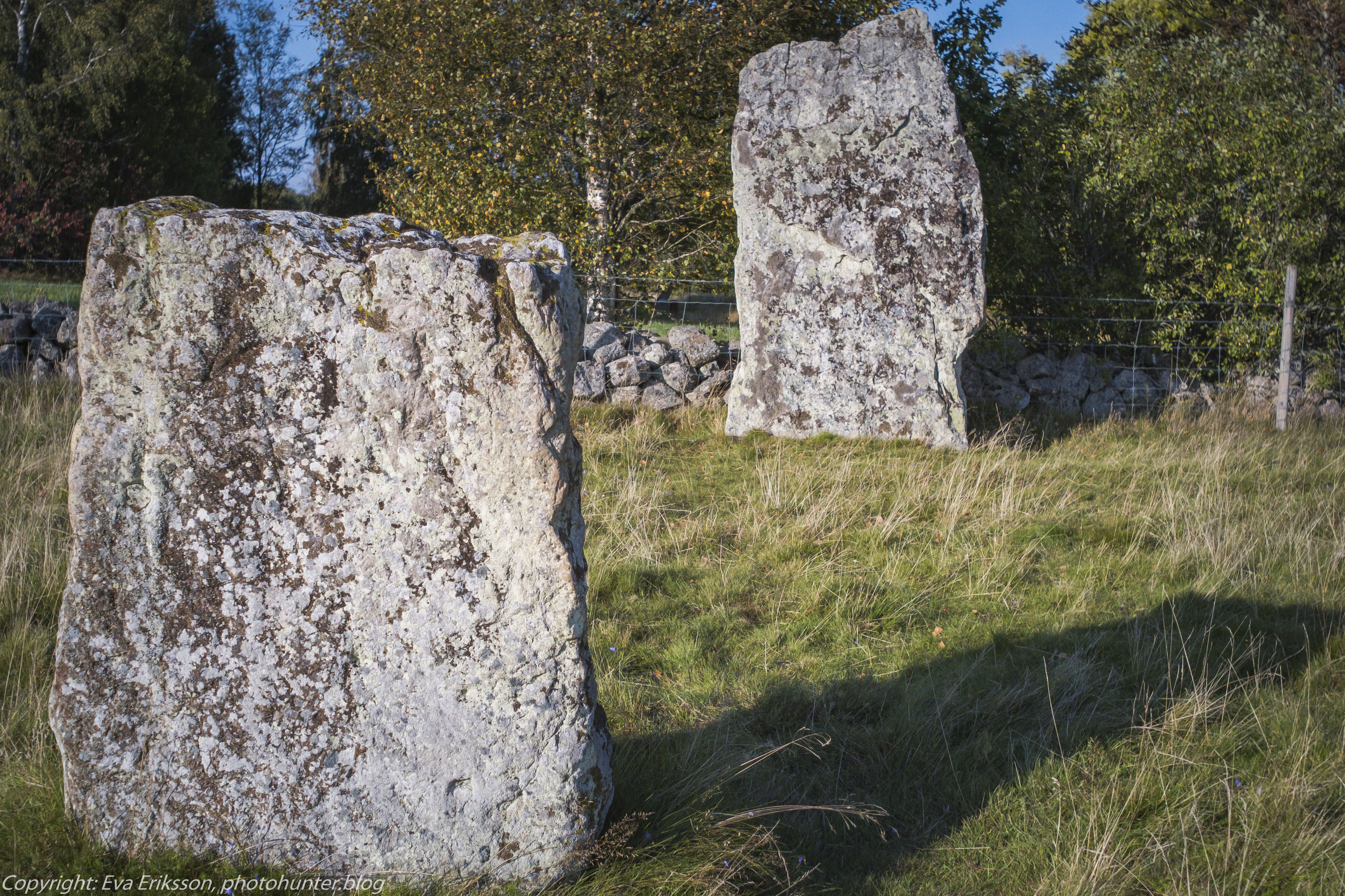 Orestegon 29mm 2.8-11