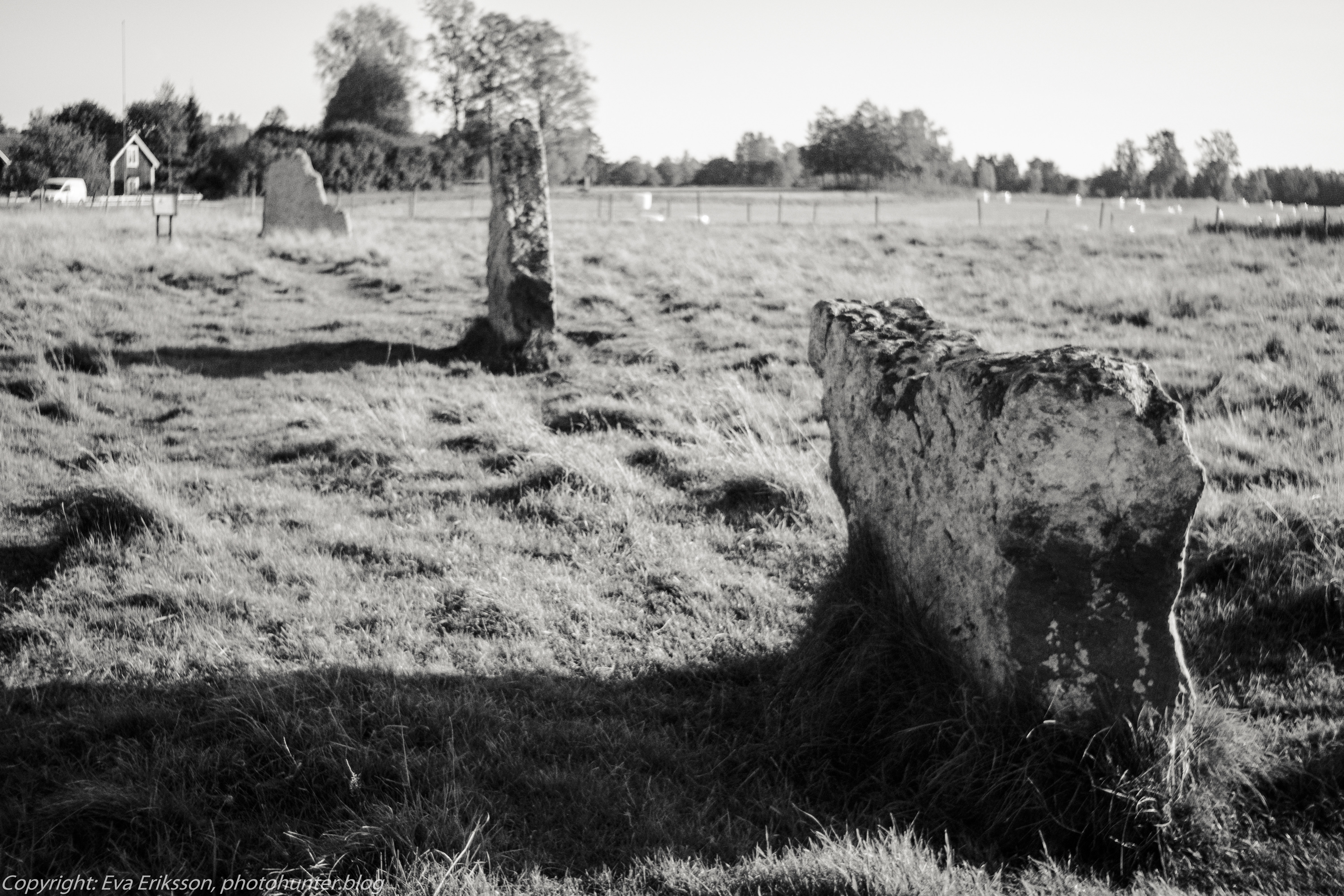 Orestegon 29mm 2.8-14