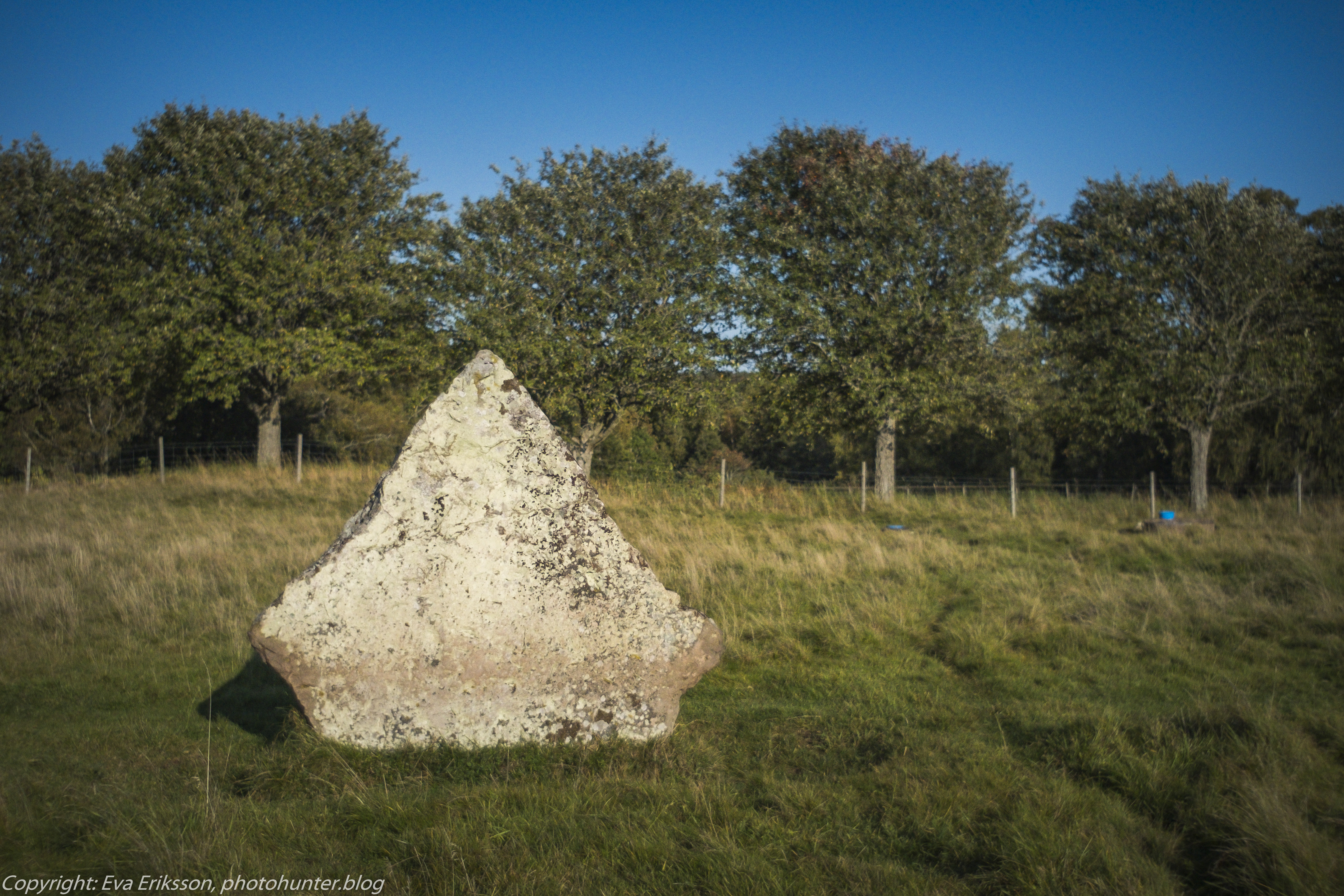 Orestegon 29mm 2.8-15