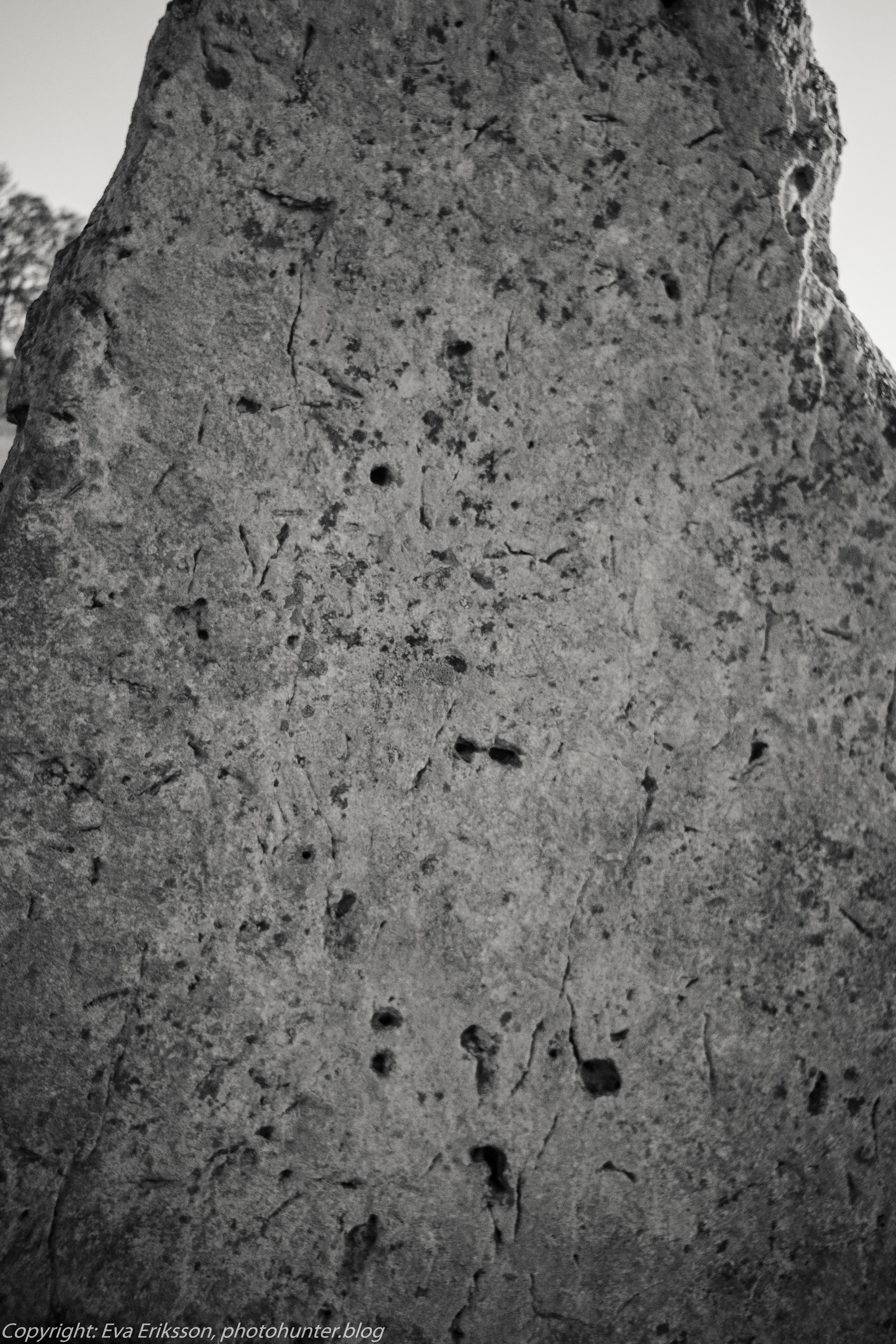 Orestegon 29mm 2.8-17