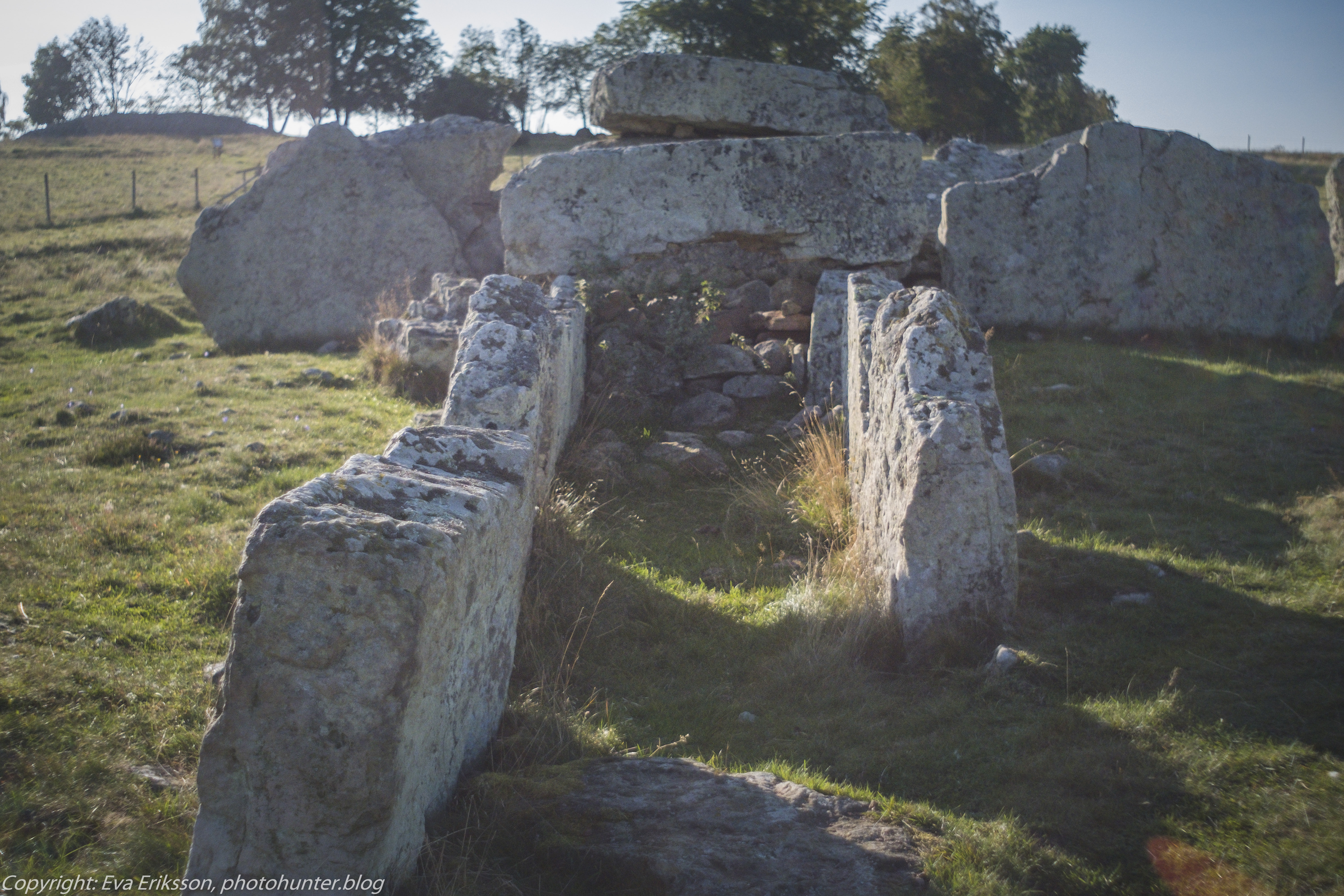 Orestegon 29mm 2.8-3