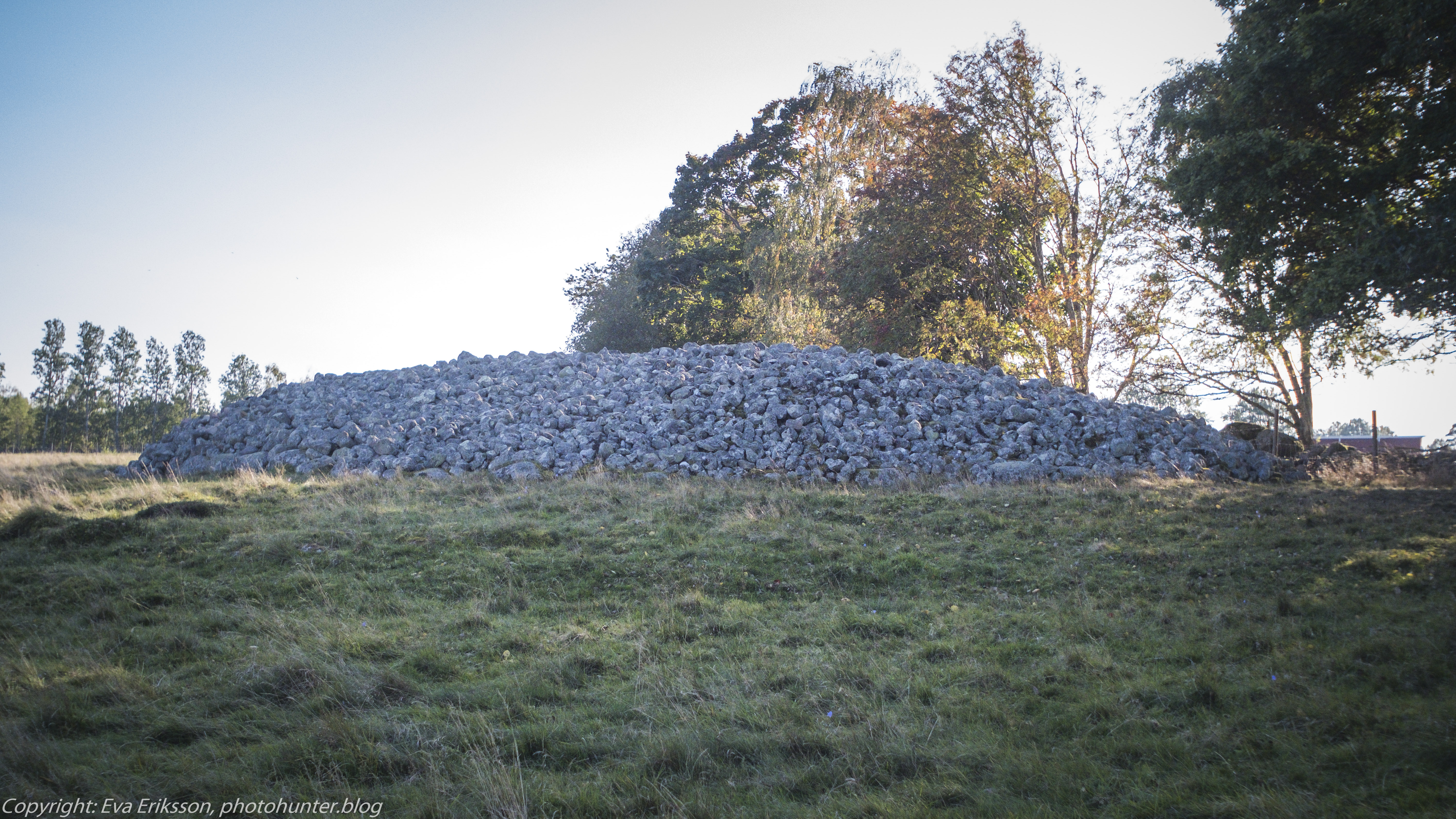 Orestegon 29mm 2.8-7