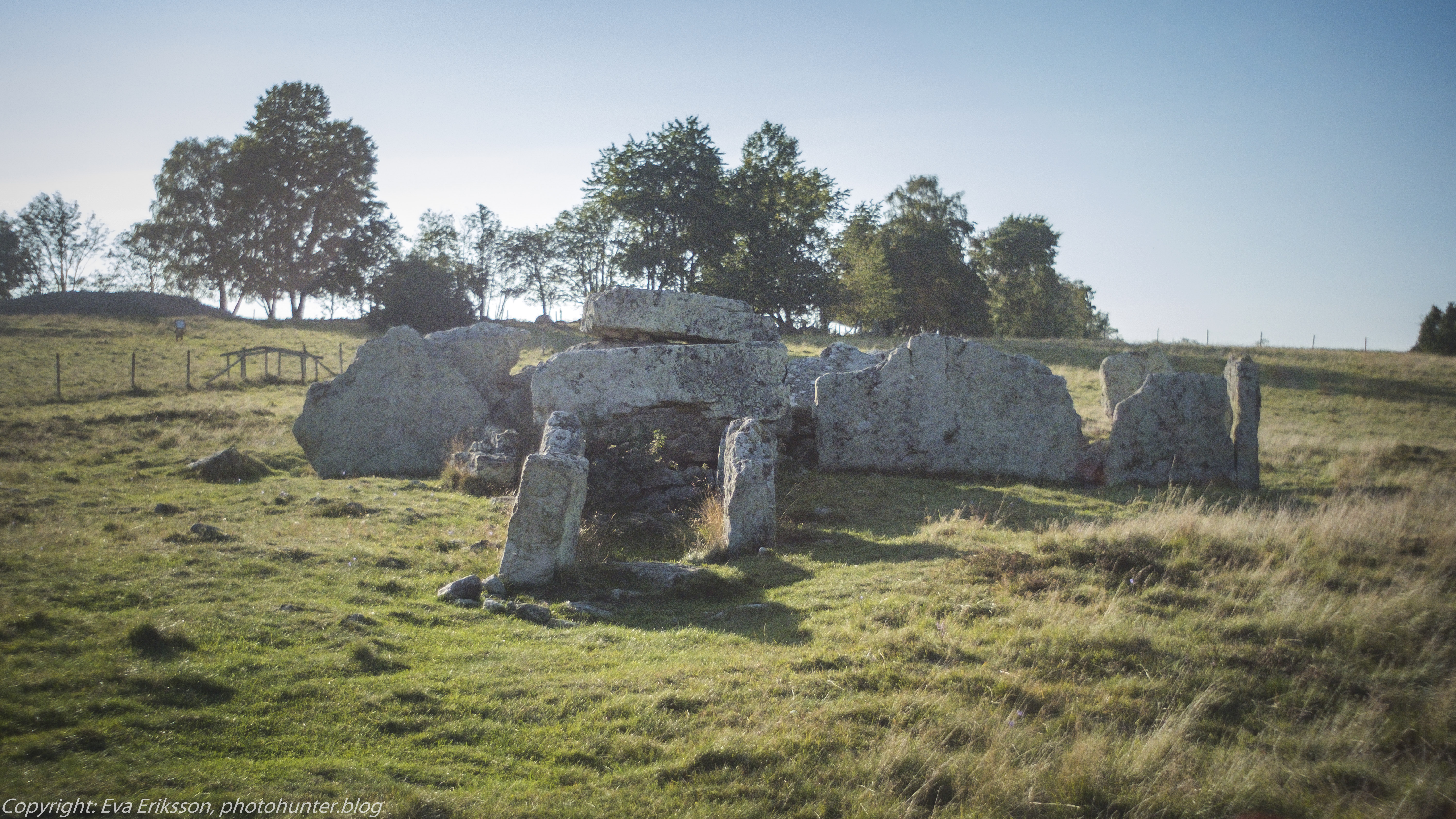 Orestegon 29mm 2.8-8