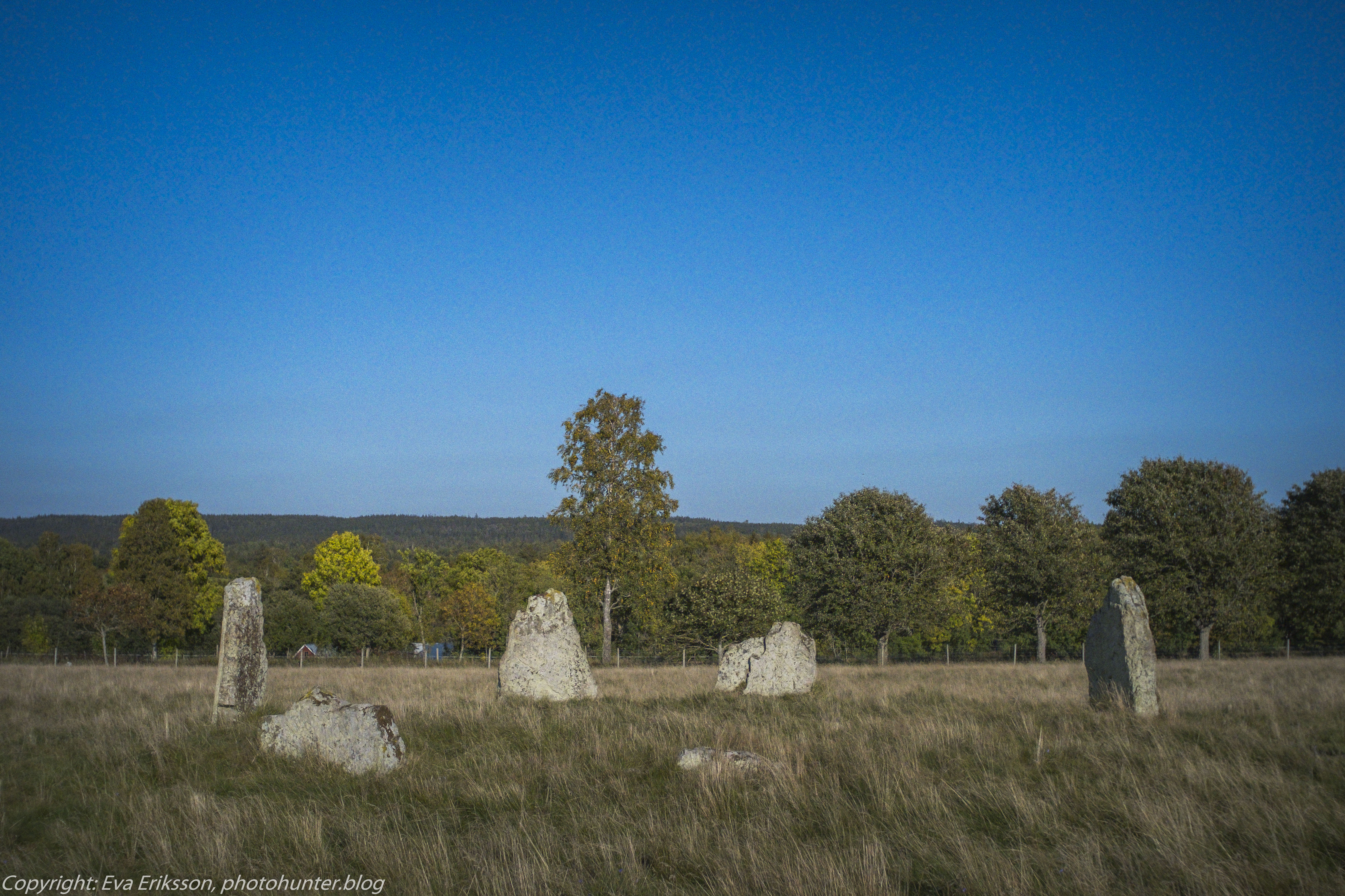 Orestegon 29mm 2.8-9