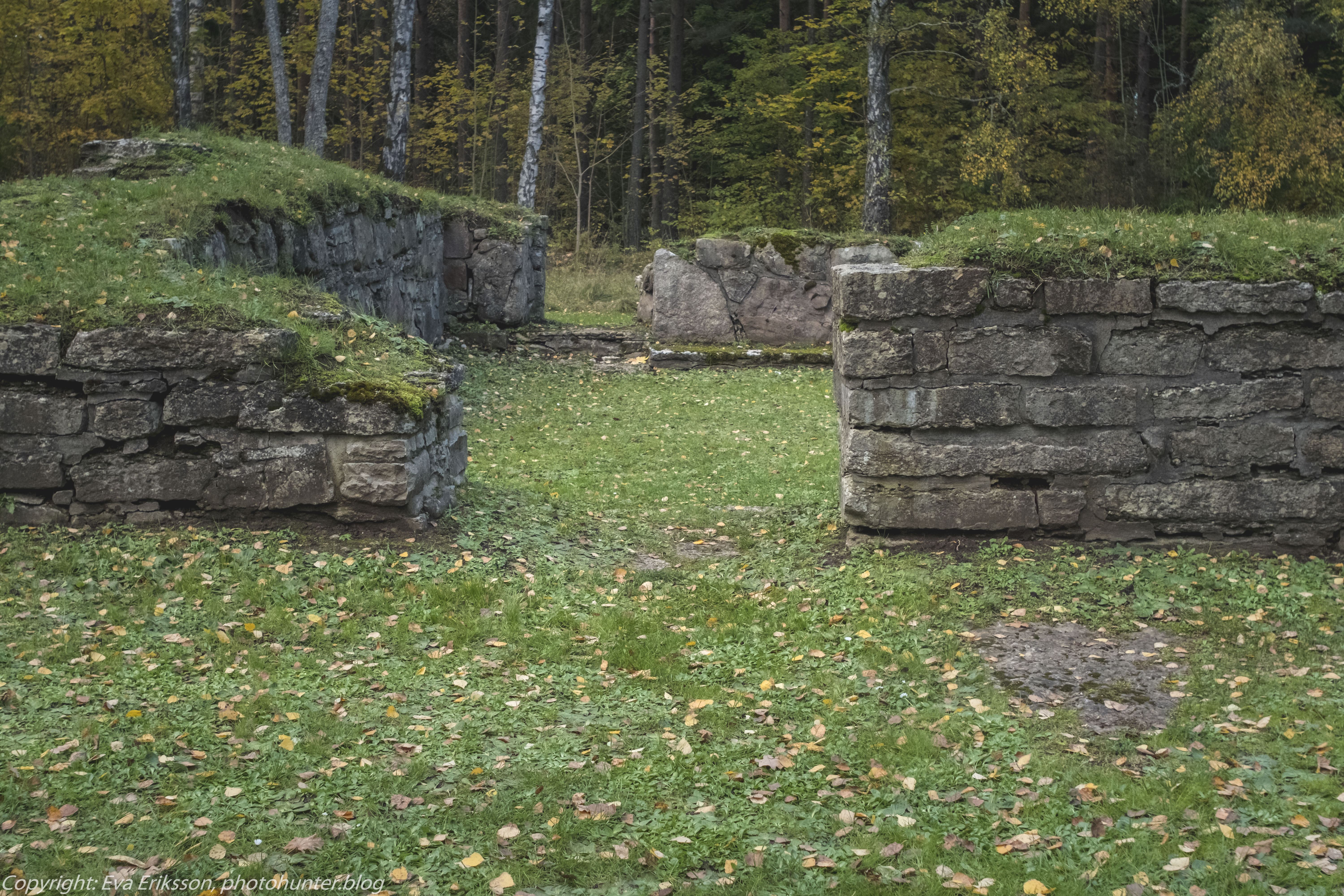 16102020-Orestegon 29mm 2.8-31