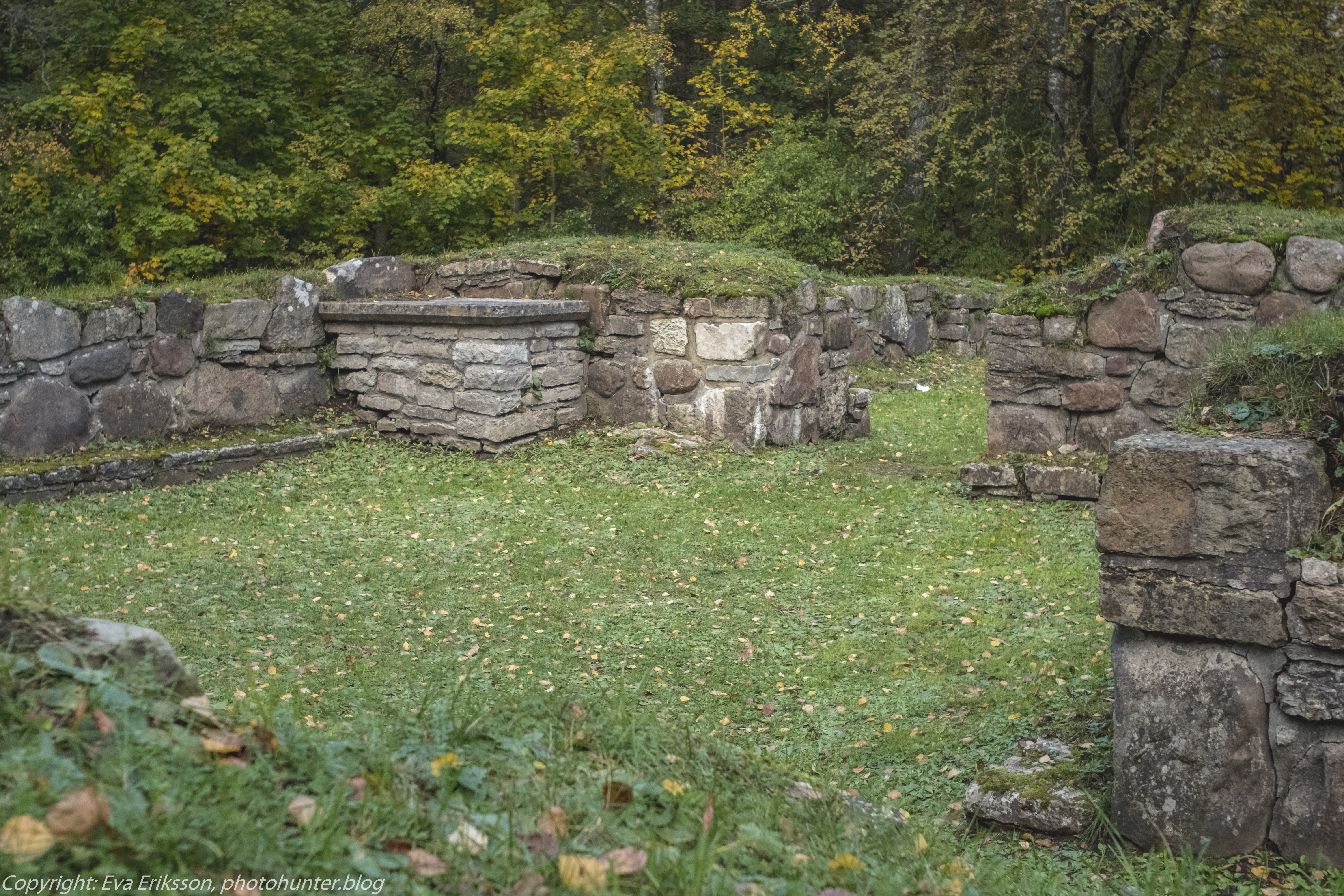 16102020-Orestegon 29mm 2.8-32