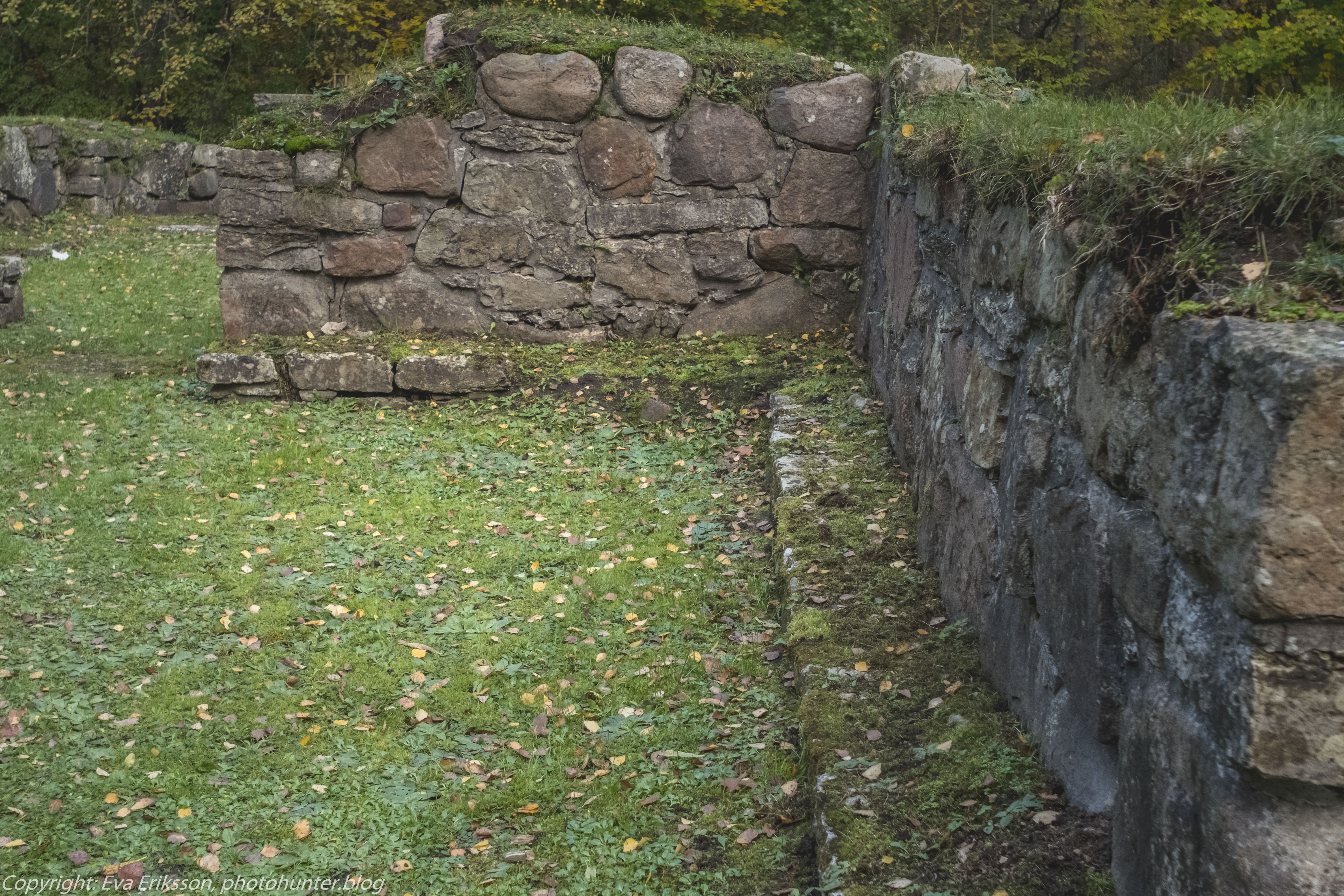 16102020-Orestegon 29mm 2.8-33