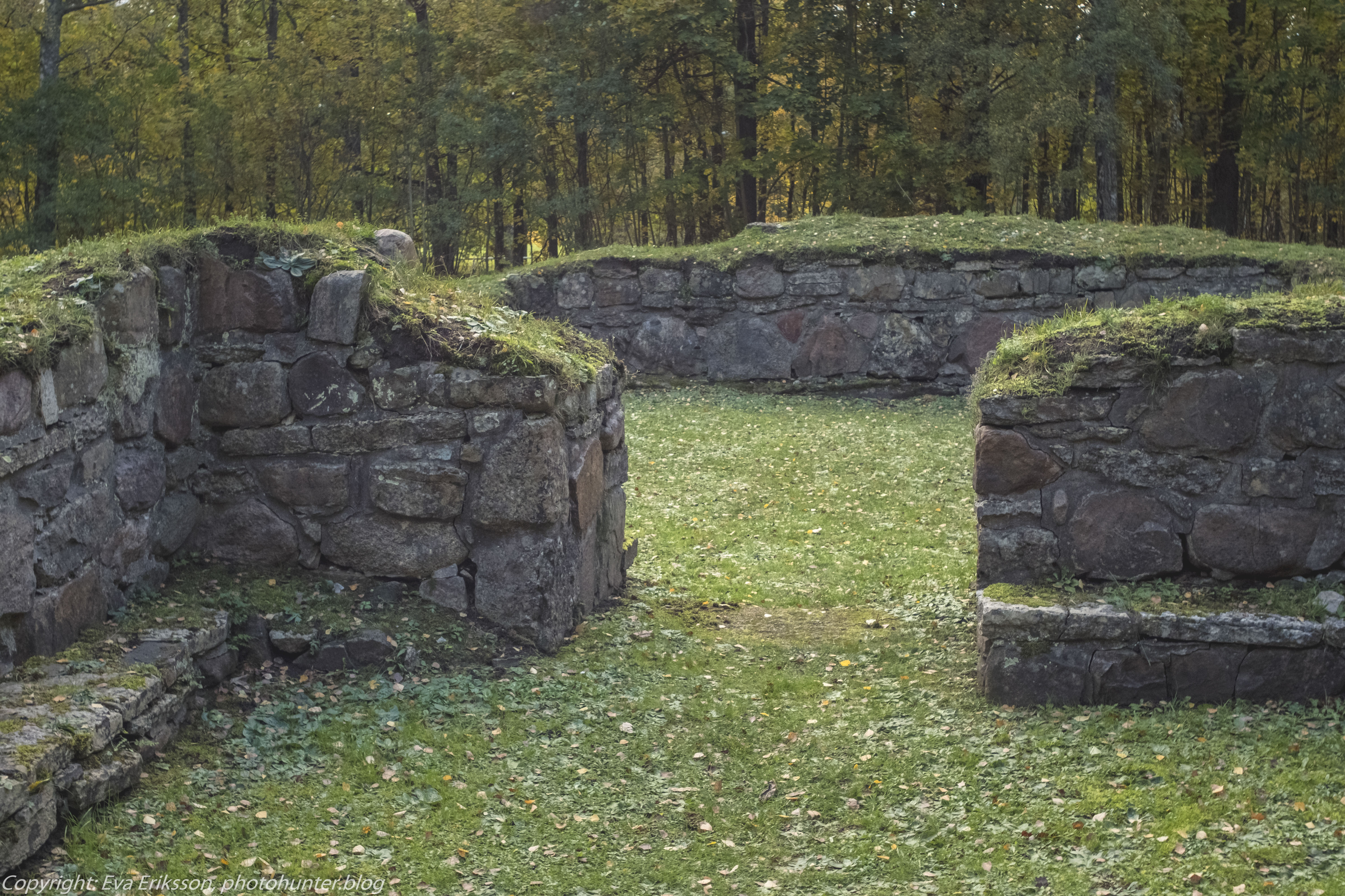 16102020-Orestegon 29mm 2.8-34