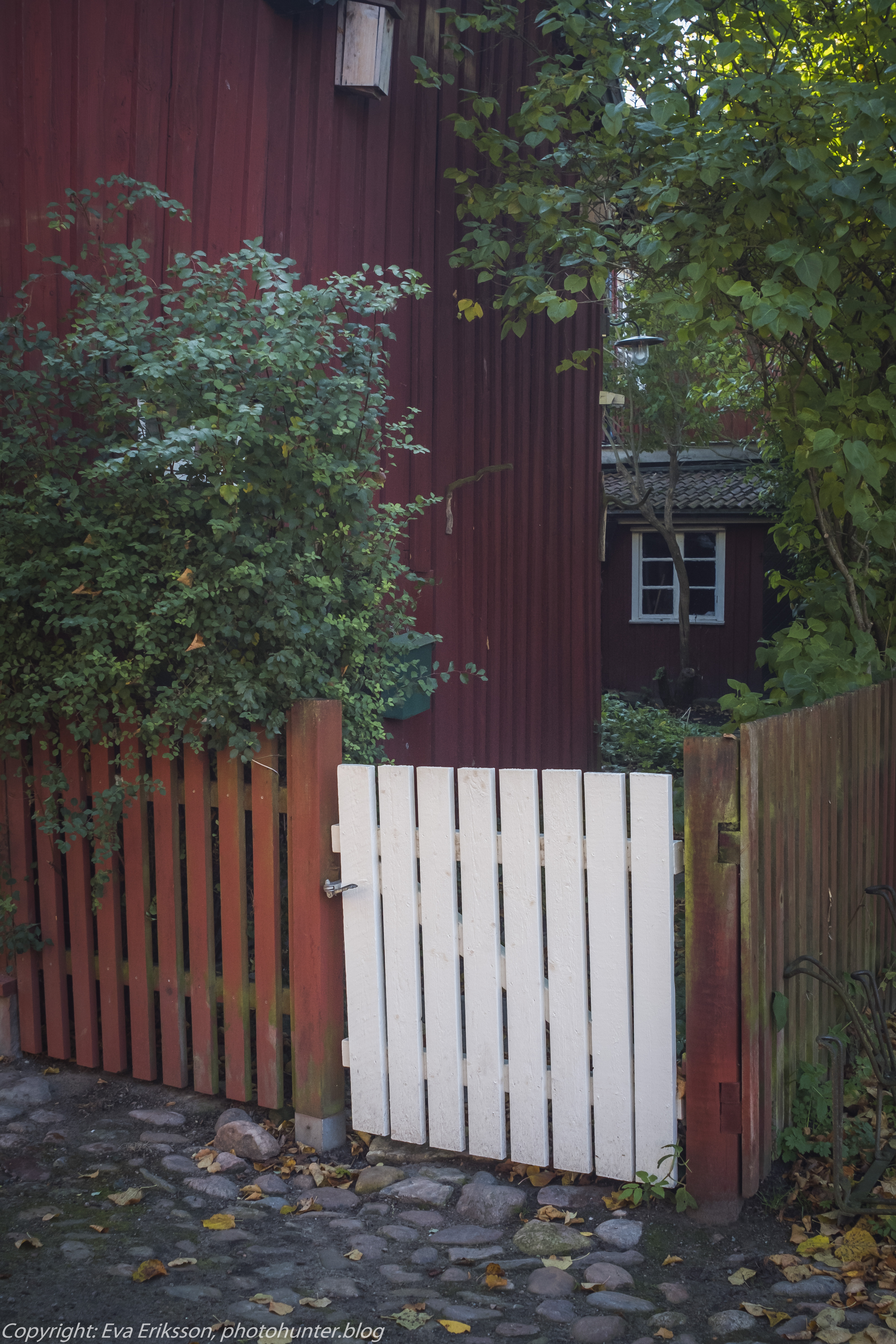 17102020-Orestegon 29mm 2.8-13