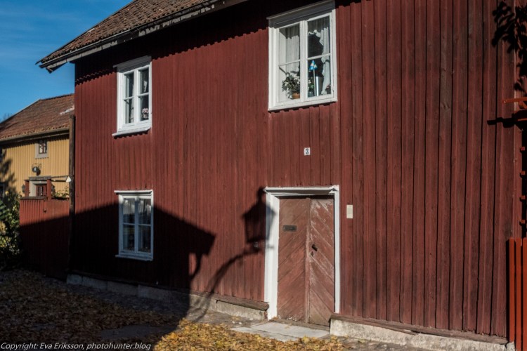 17102020-Orestegon 29mm 2.8-16