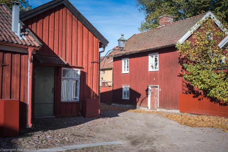 17102020-Orestegon 29mm 2.8-18