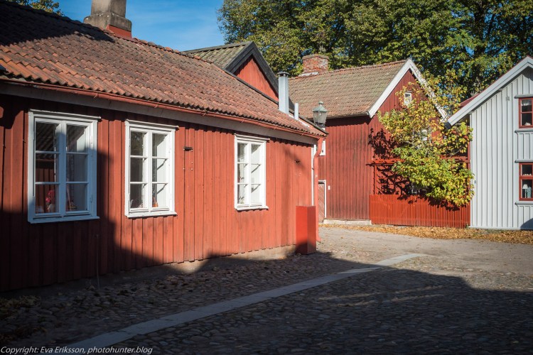 17102020-Orestegon 29mm 2.8-23