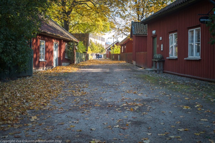 17102020-Orestegon 29mm 2.8-31