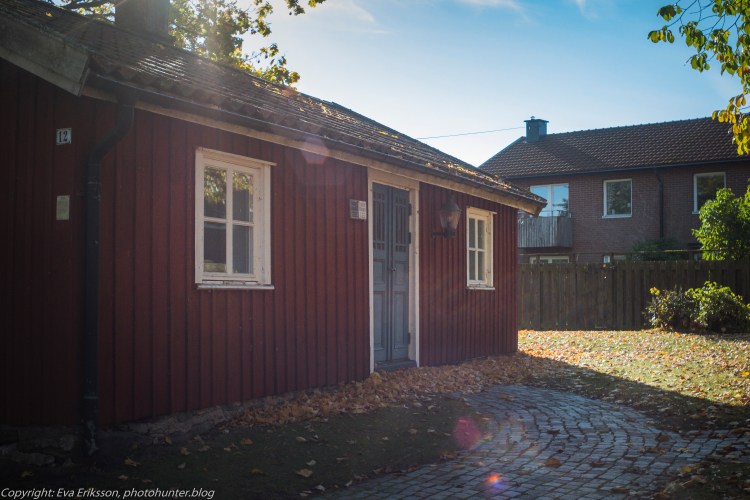 17102020-Orestegon 29mm 2.8-46