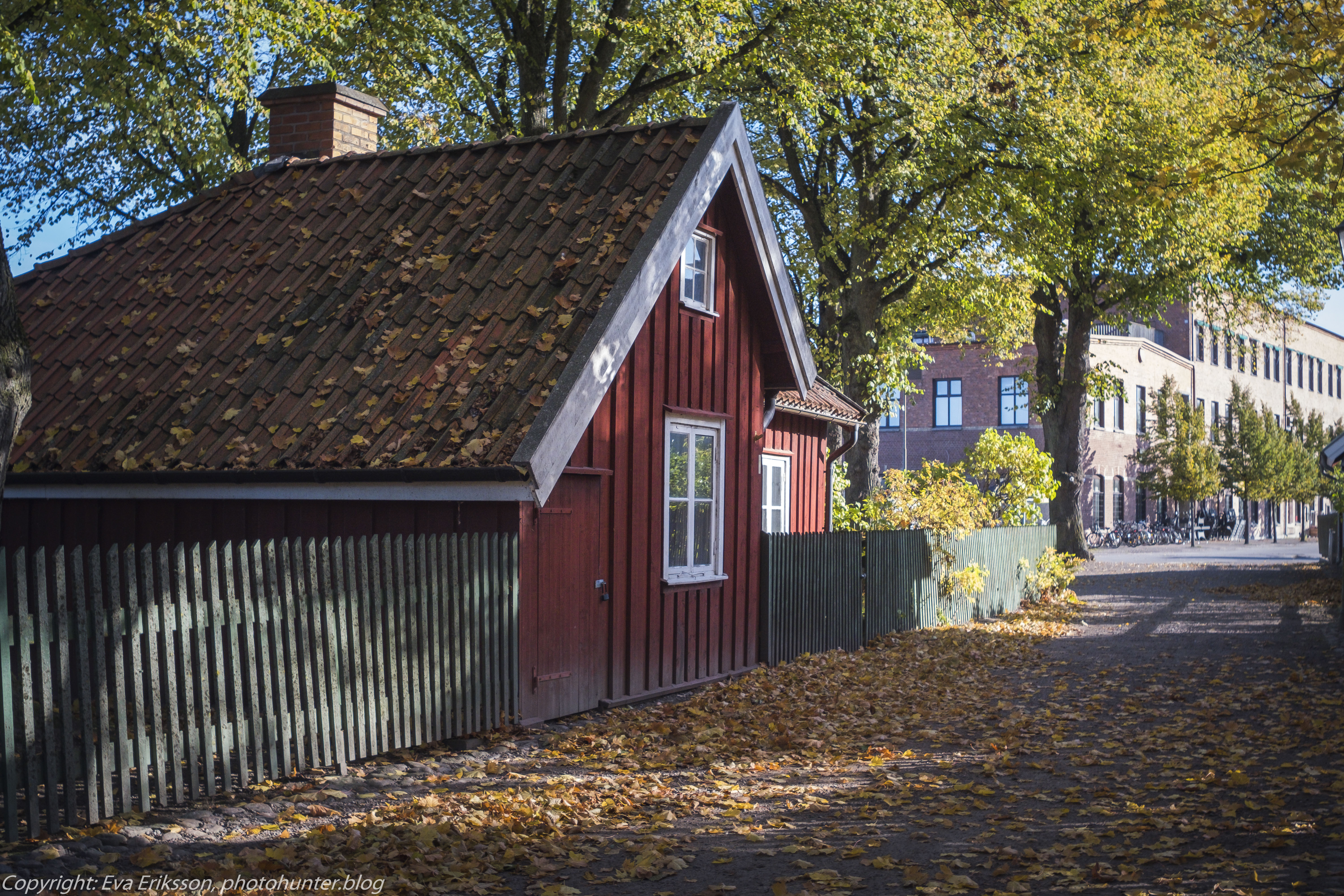 17102020-Orestegon 29mm 2.8-48