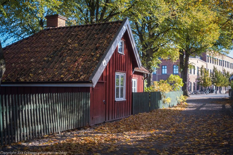 17102020-Orestegon 29mm 2.8-48