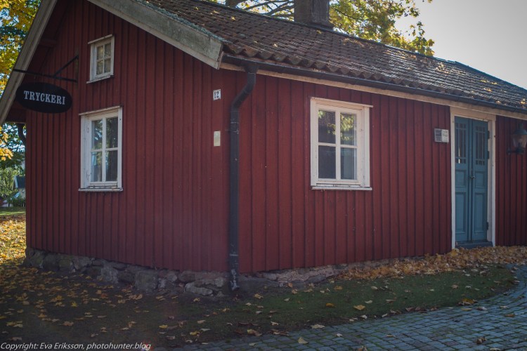 17102020-Orestegon 29mm 2.8-49