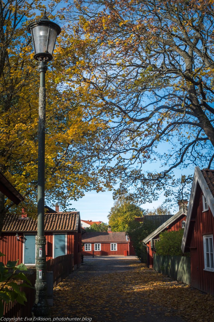 17102020-Orestegon 29mm 2.8-54