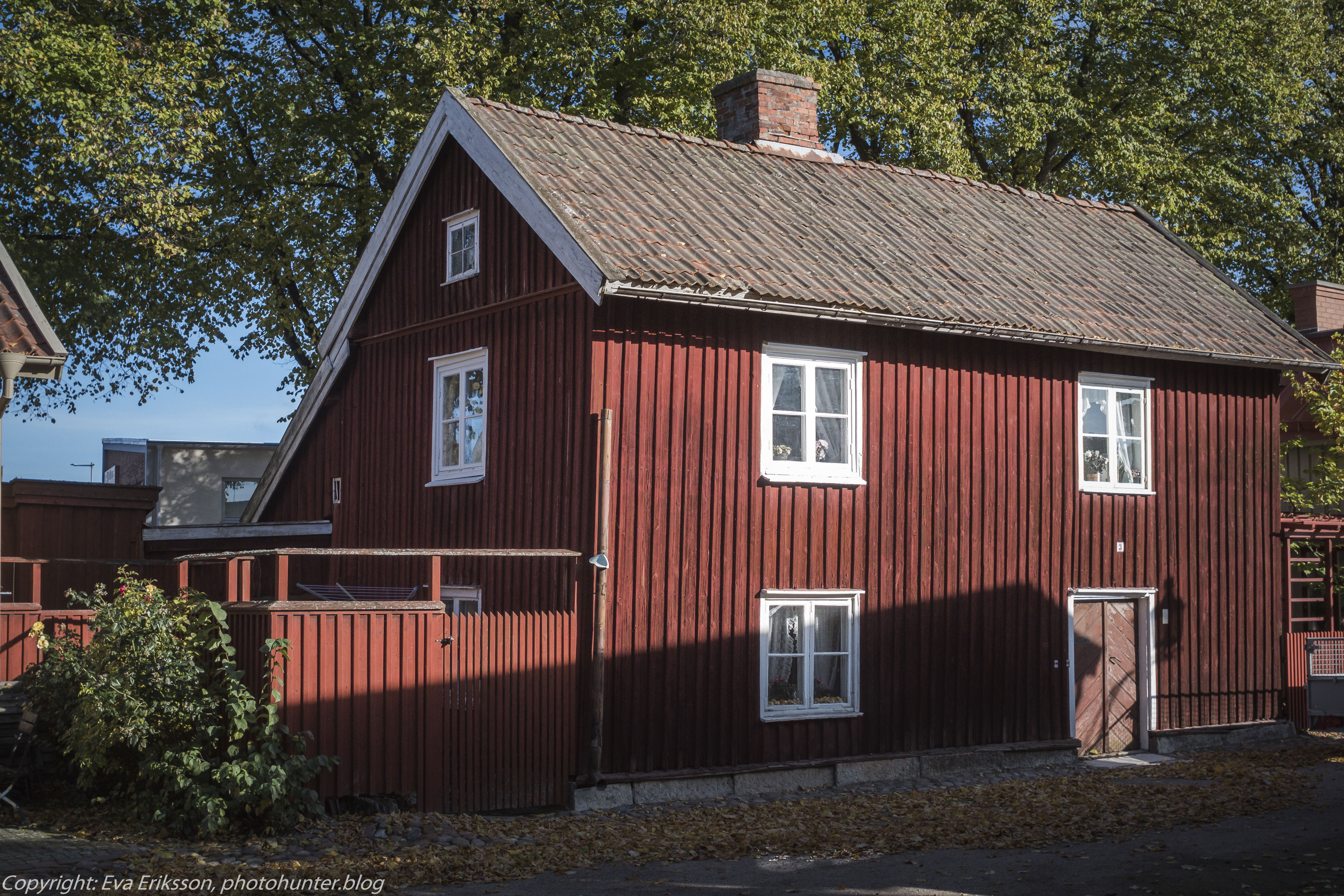 17102020-Orestegon 29mm 2.8-66