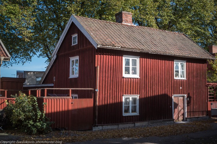 17102020-Orestegon 29mm 2.8-66