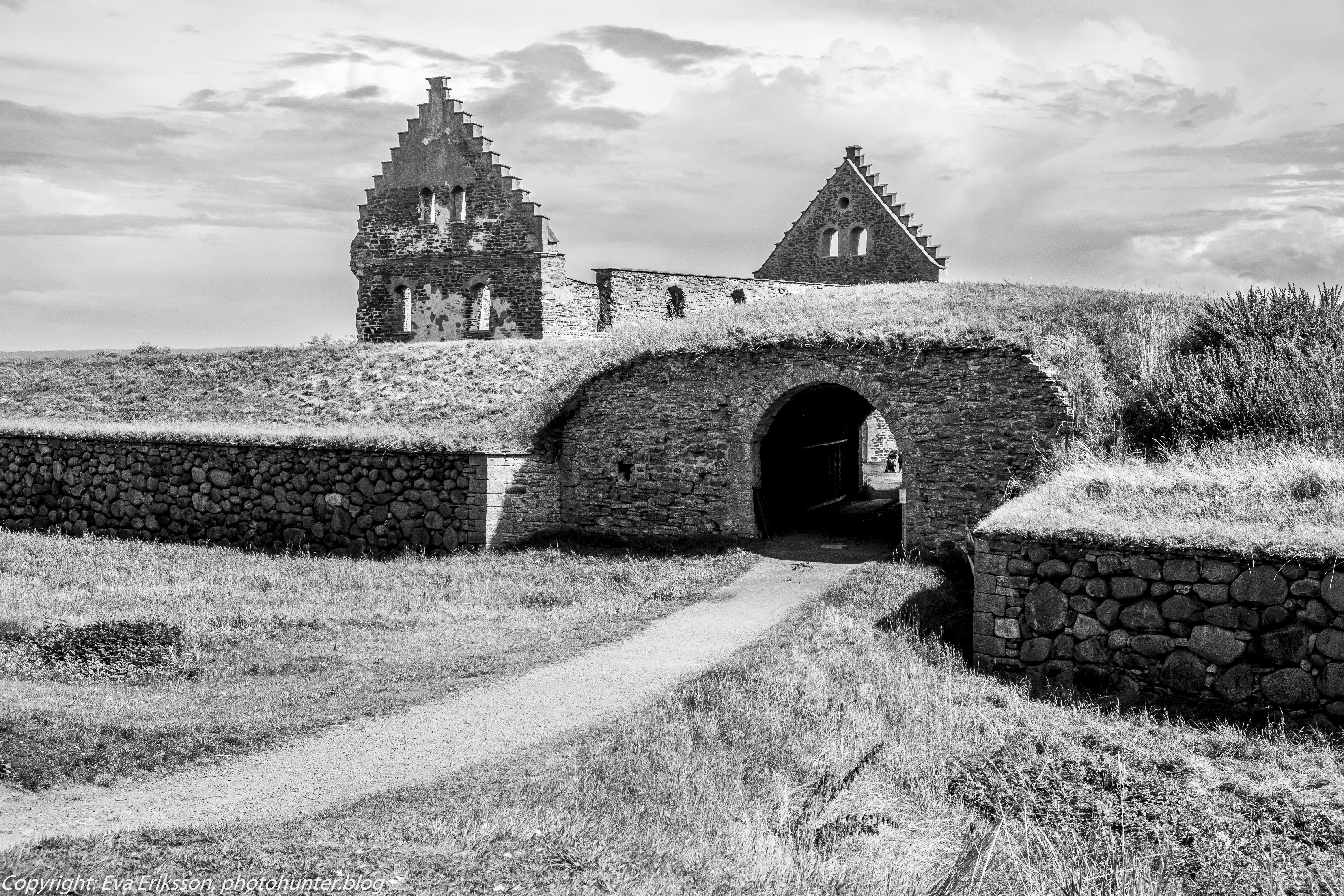 20082019-20082019-DSCF9255