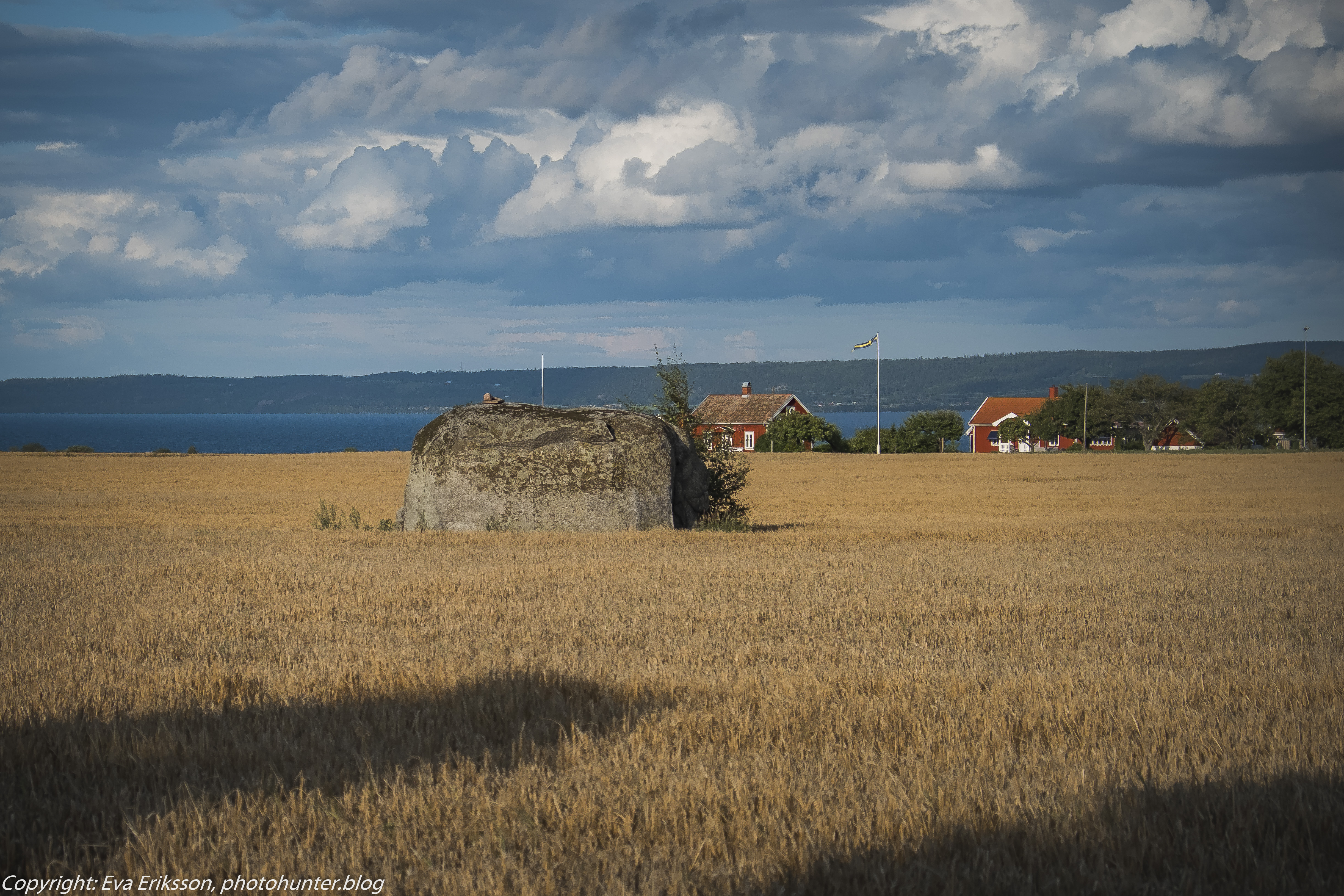20082019-brahestenen