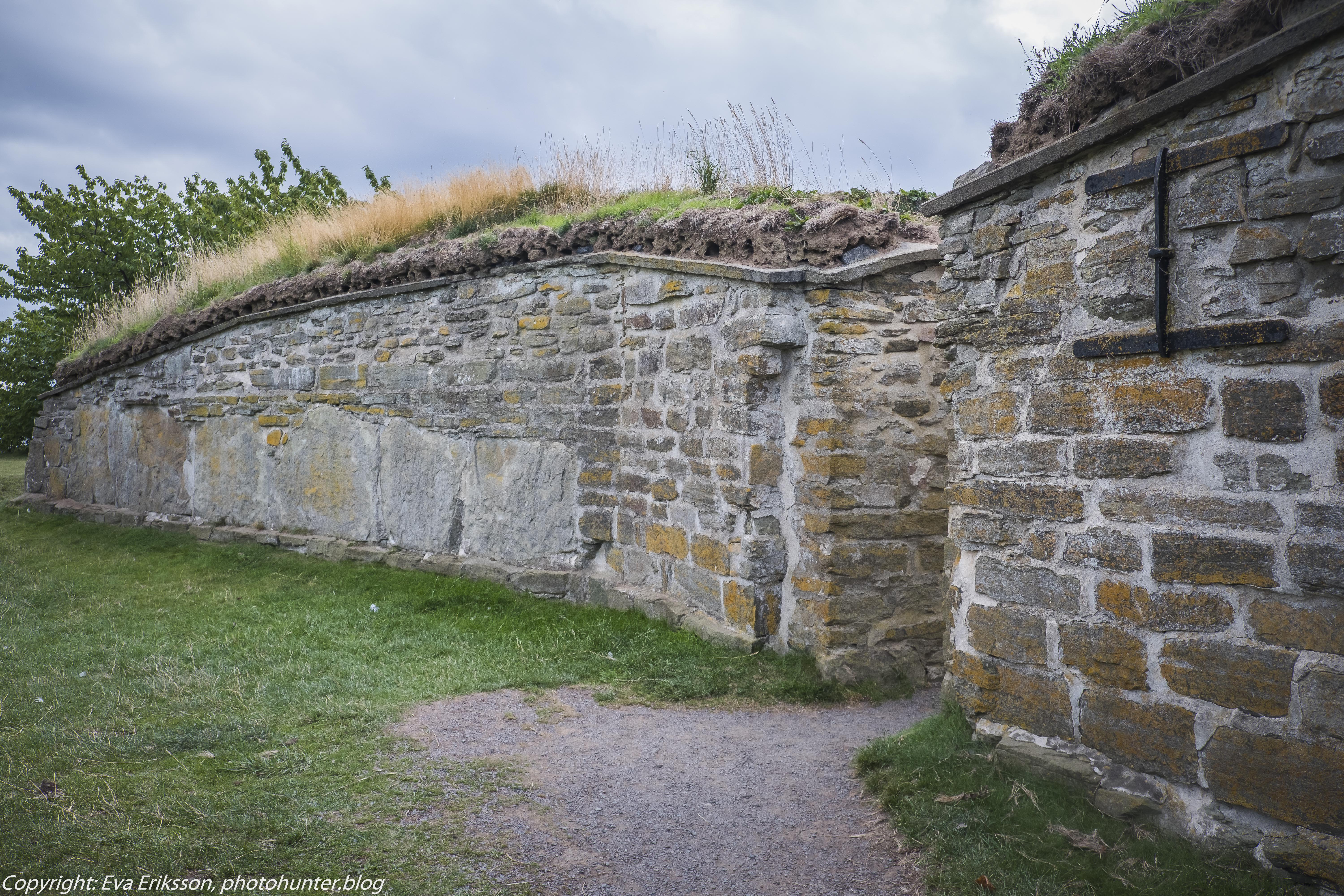 21082019-21082019-DSCF9685