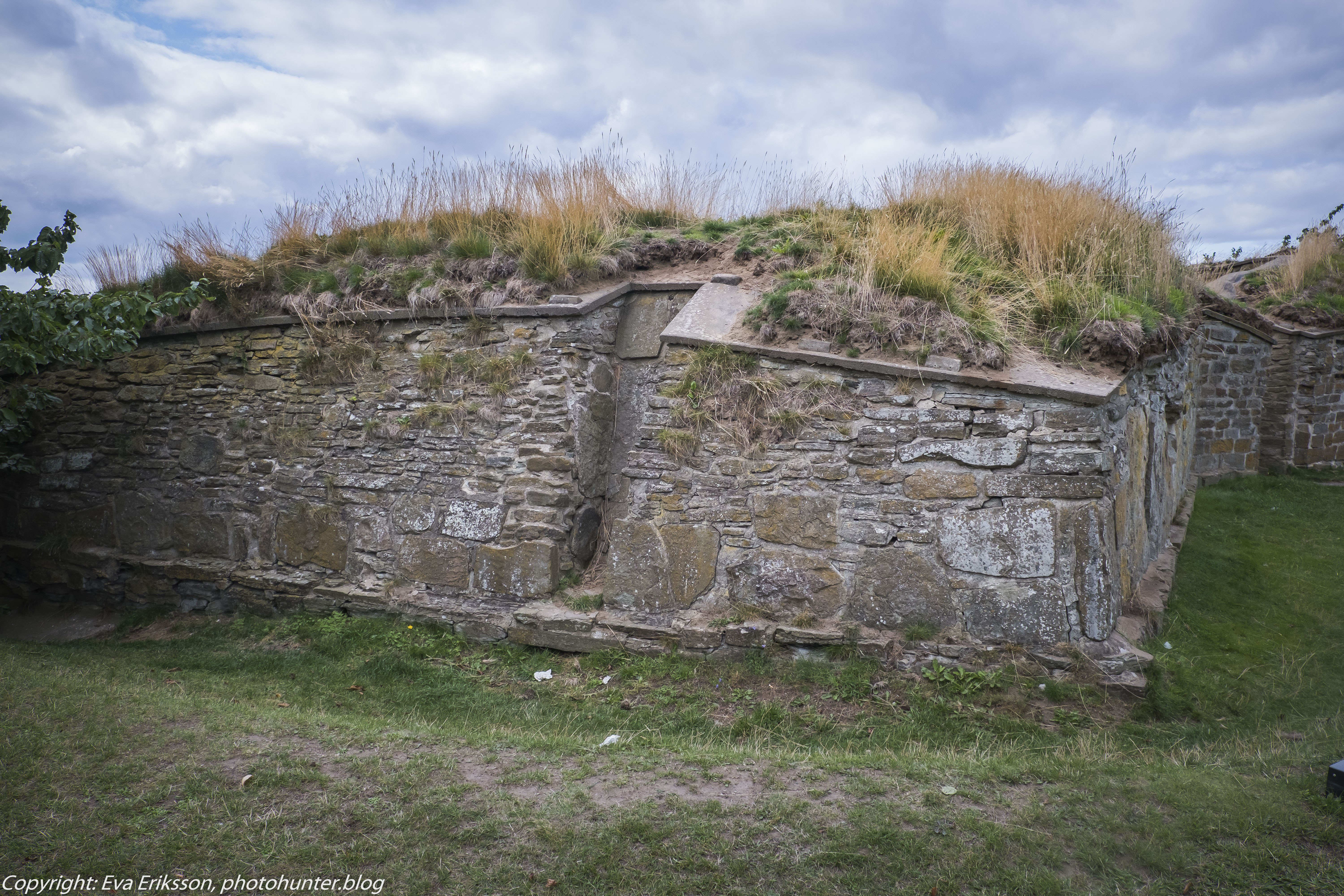 21082019-21082019-DSCF9687