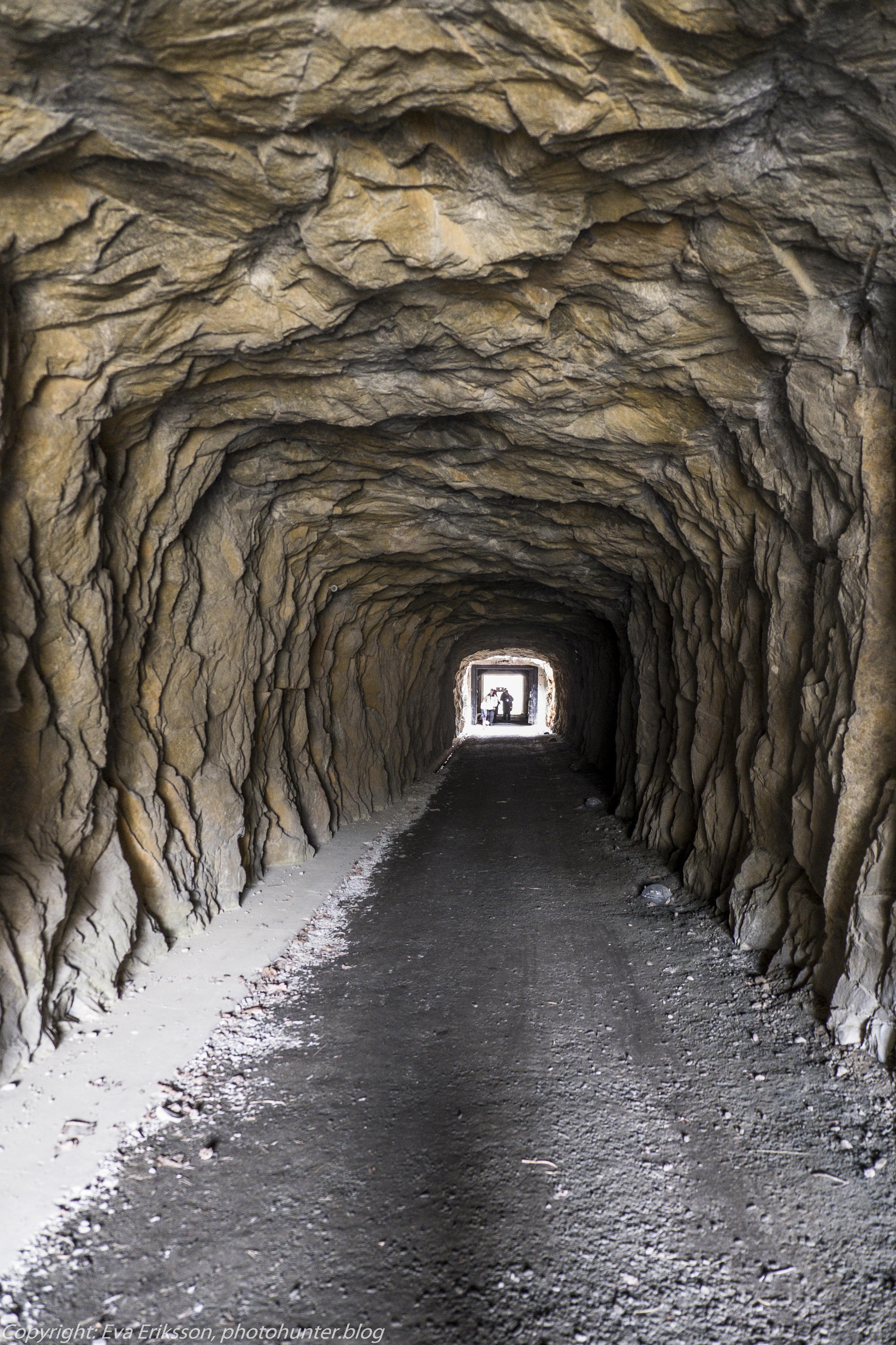 04052019-04052019-DSCF5879