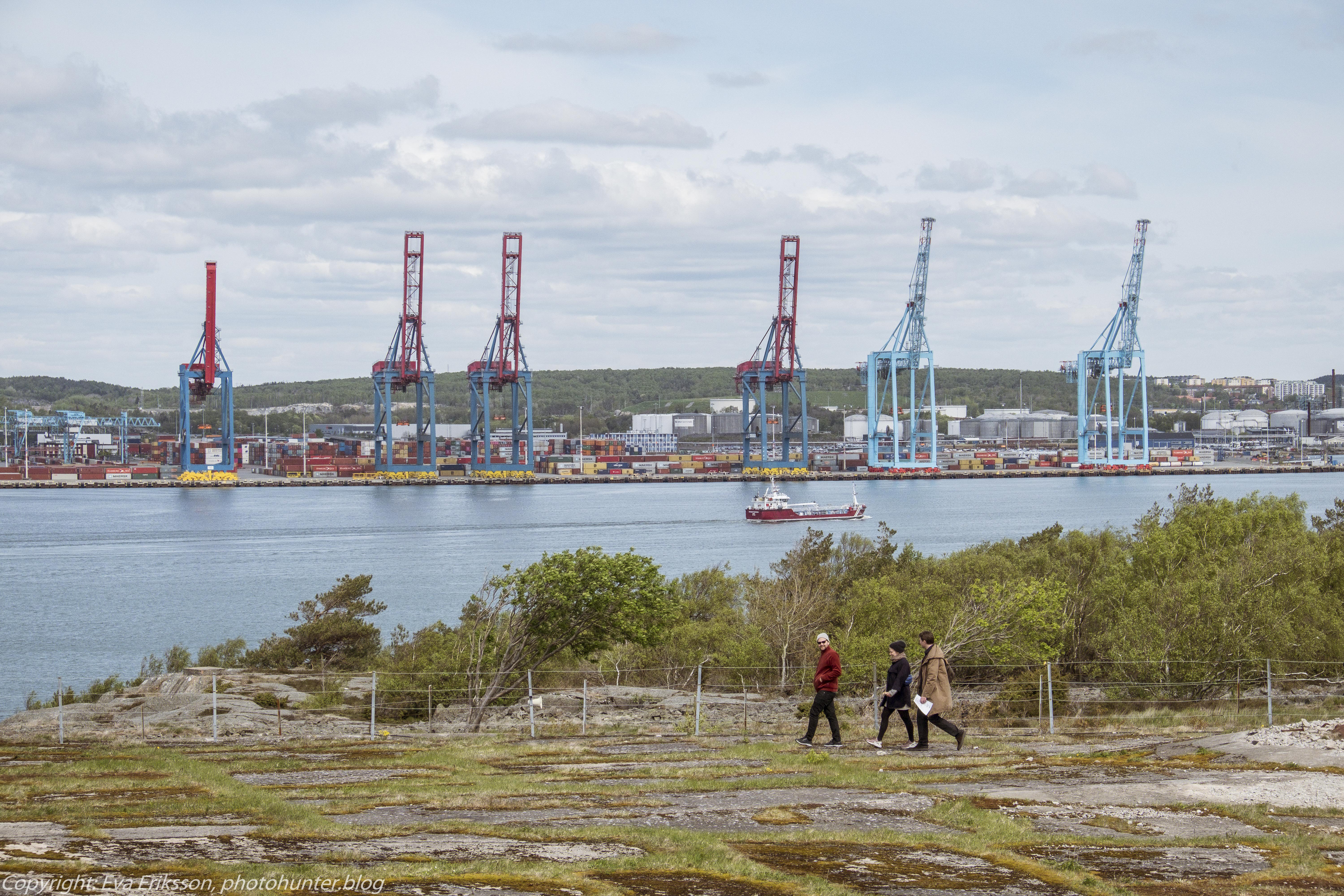 04052019-04052019-DSCF5989