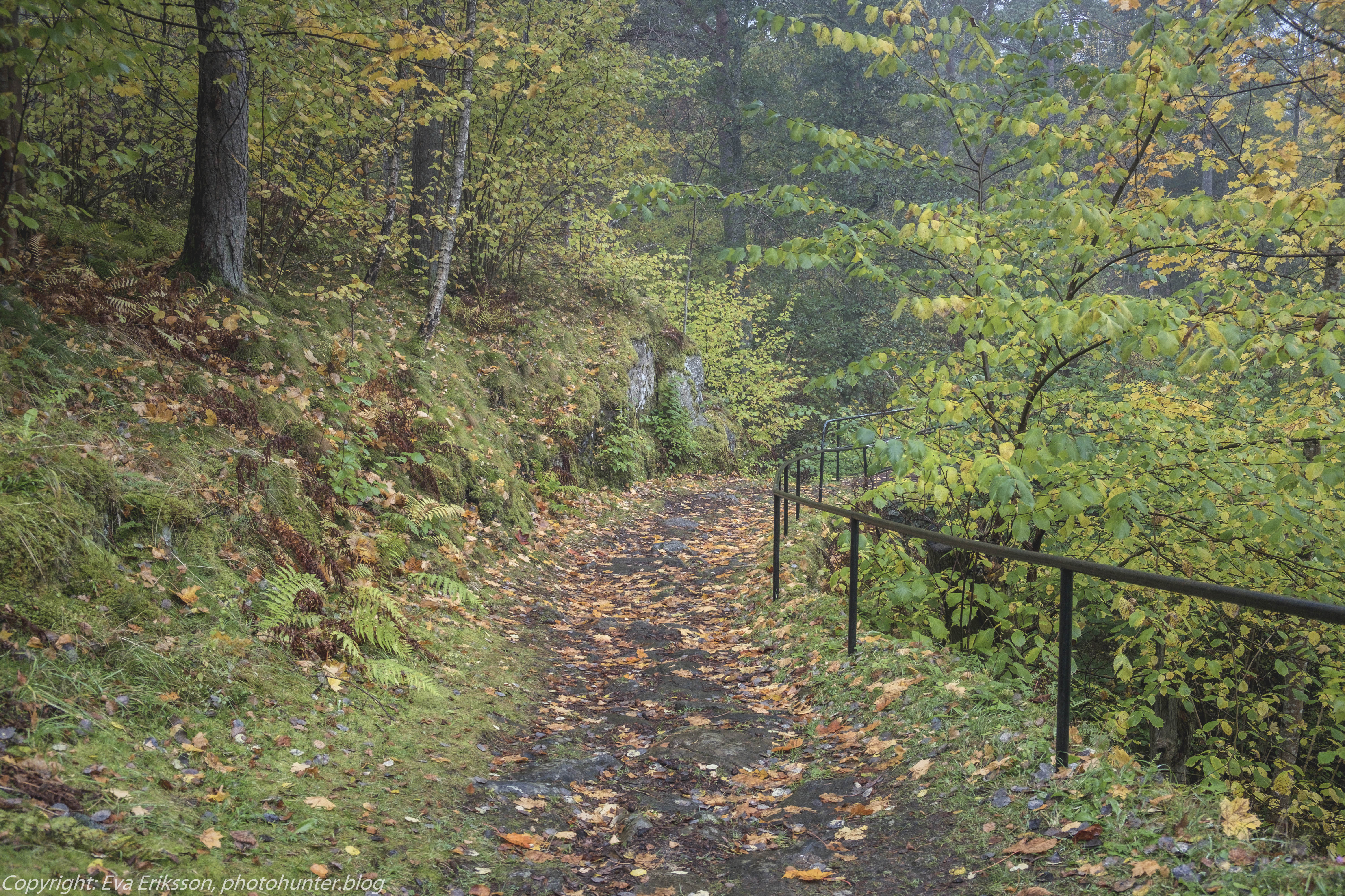 20102020-20102020-_DSF8232