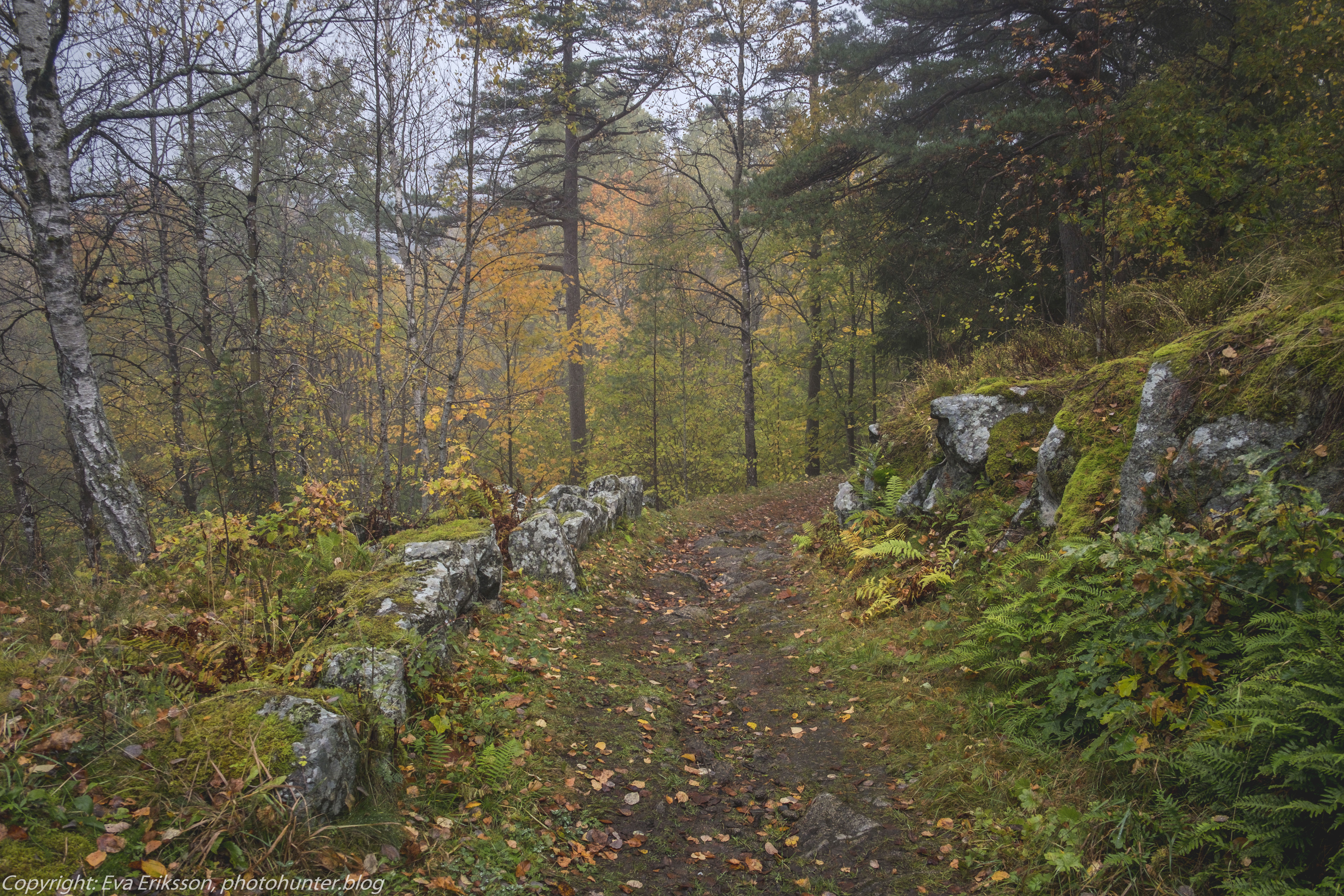 20102020-20102020-_DSF8239