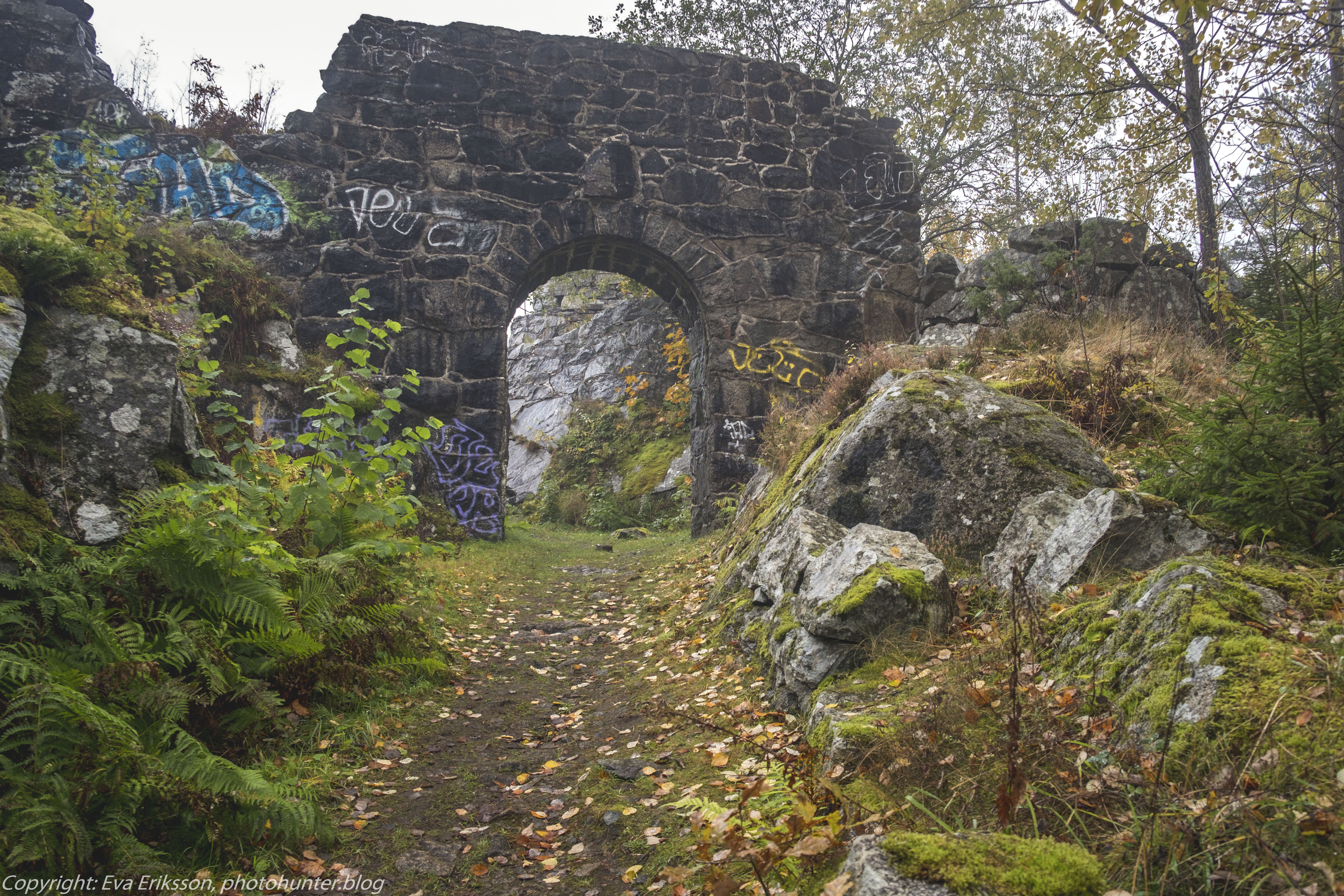 20102020-20102020-_DSF8240