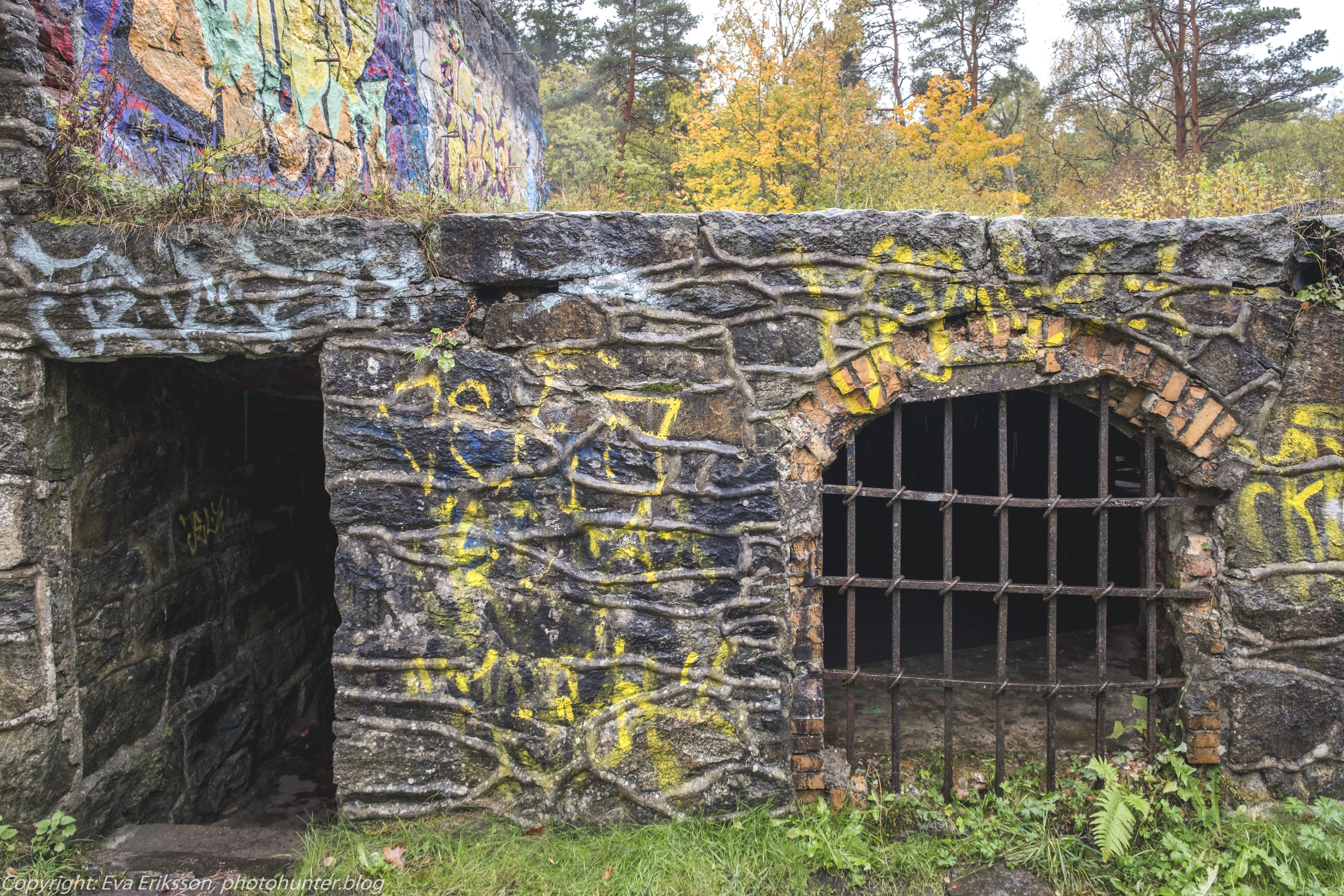 20102020-20102020-_DSF8255