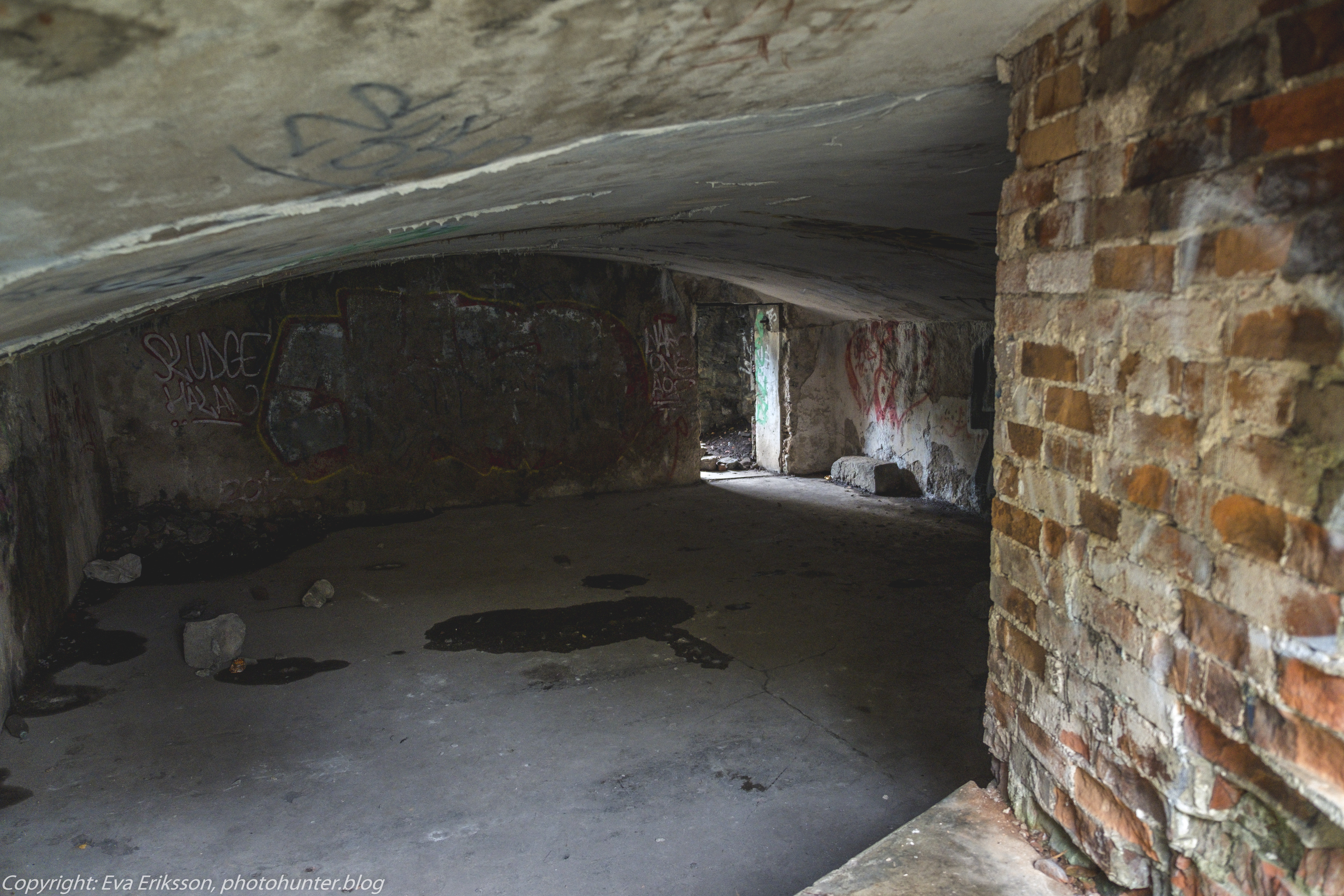 20102020-20102020-_DSF8258