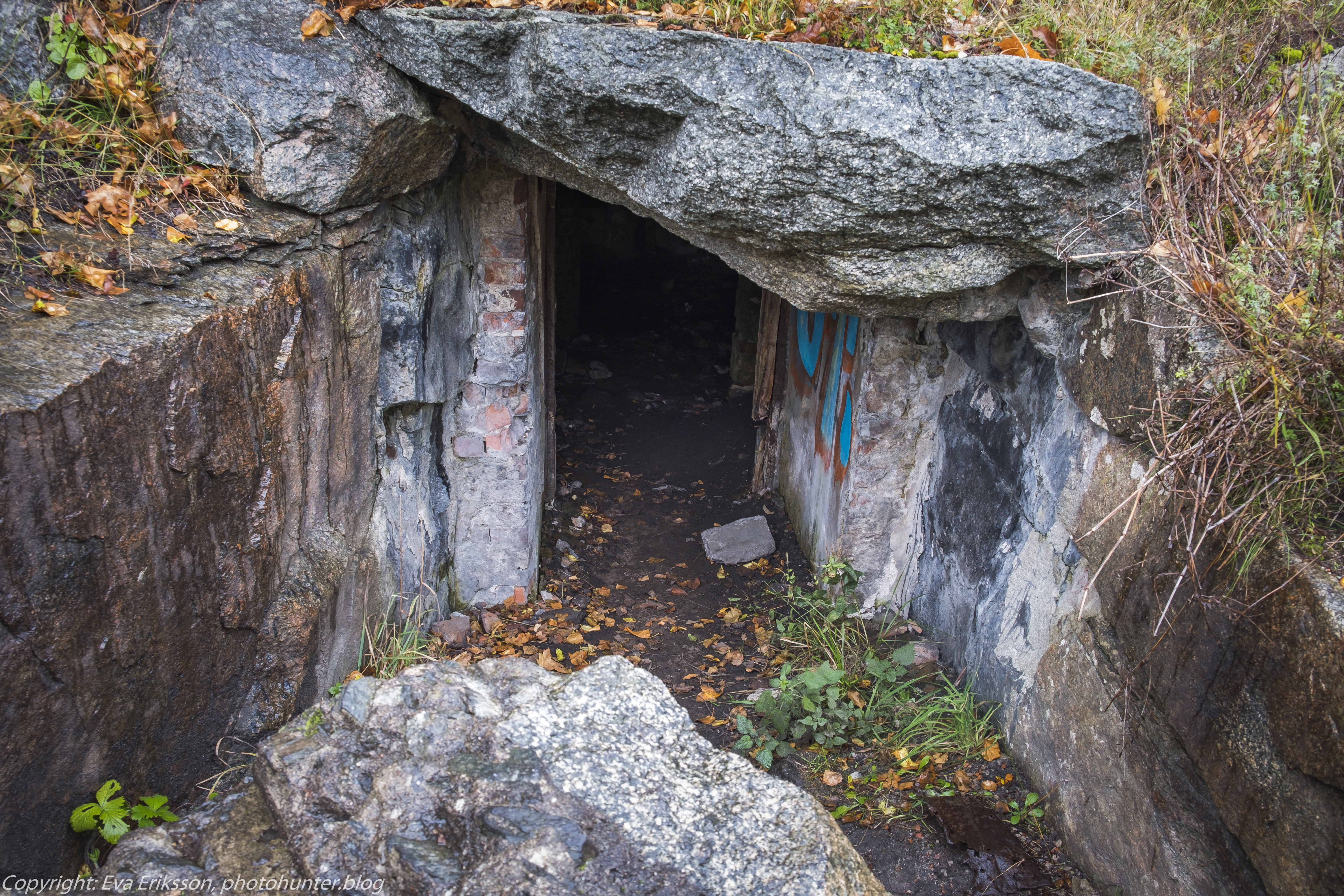 20102020-20102020-_DSF8275