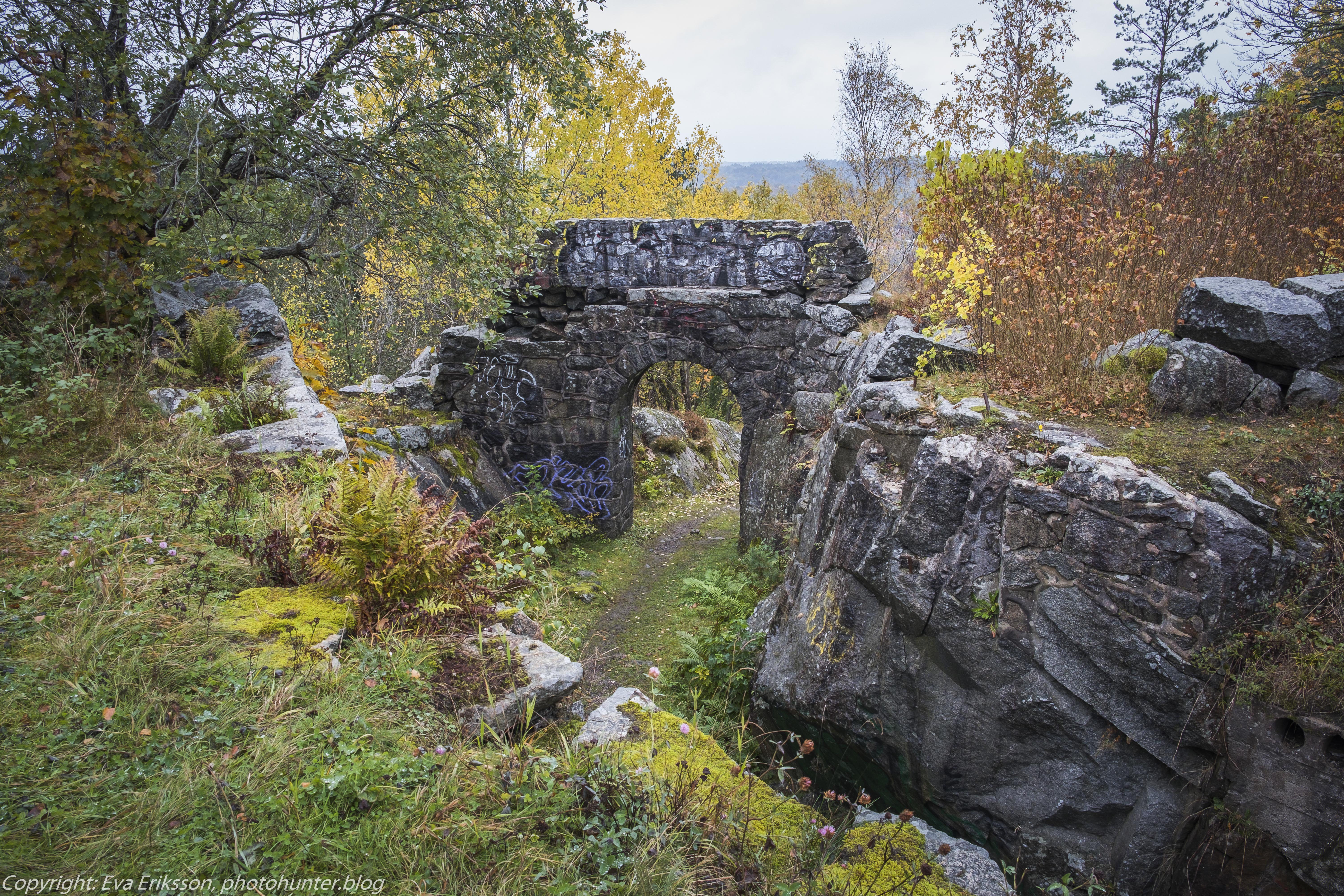 20102020-20102020-_DSF8386