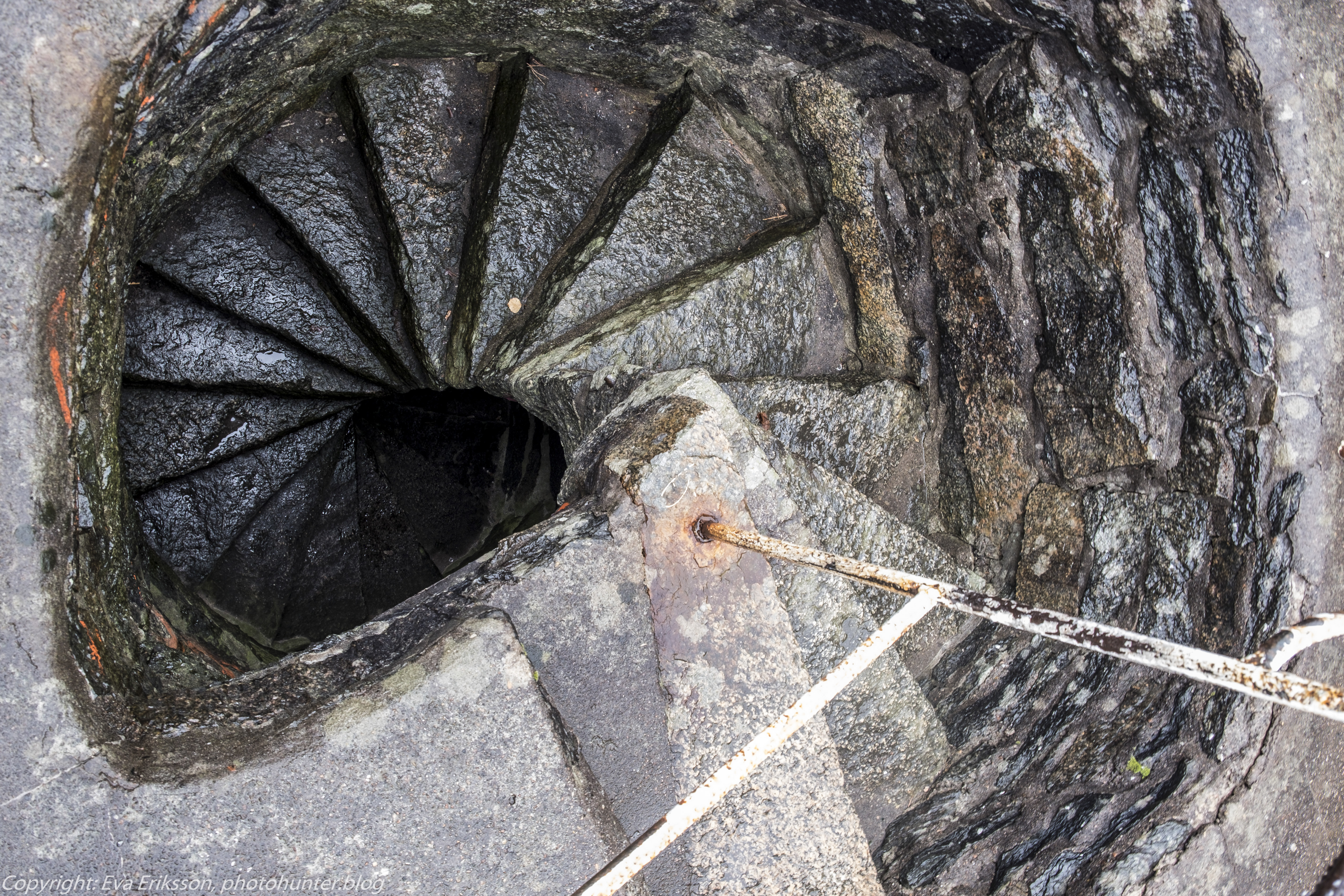 20102020-20102020-_DSF8395