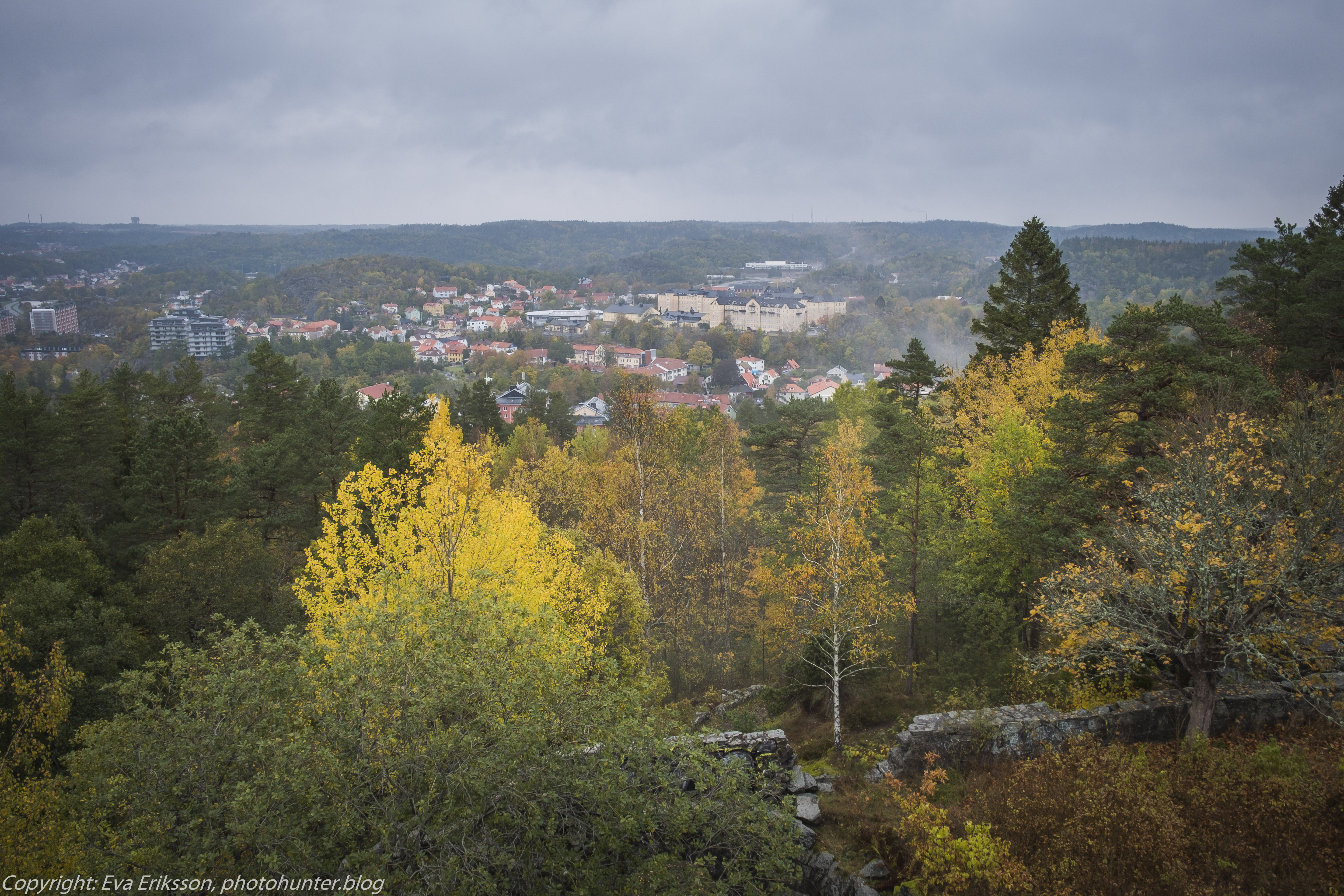 20102020-20102020-_DSF8400