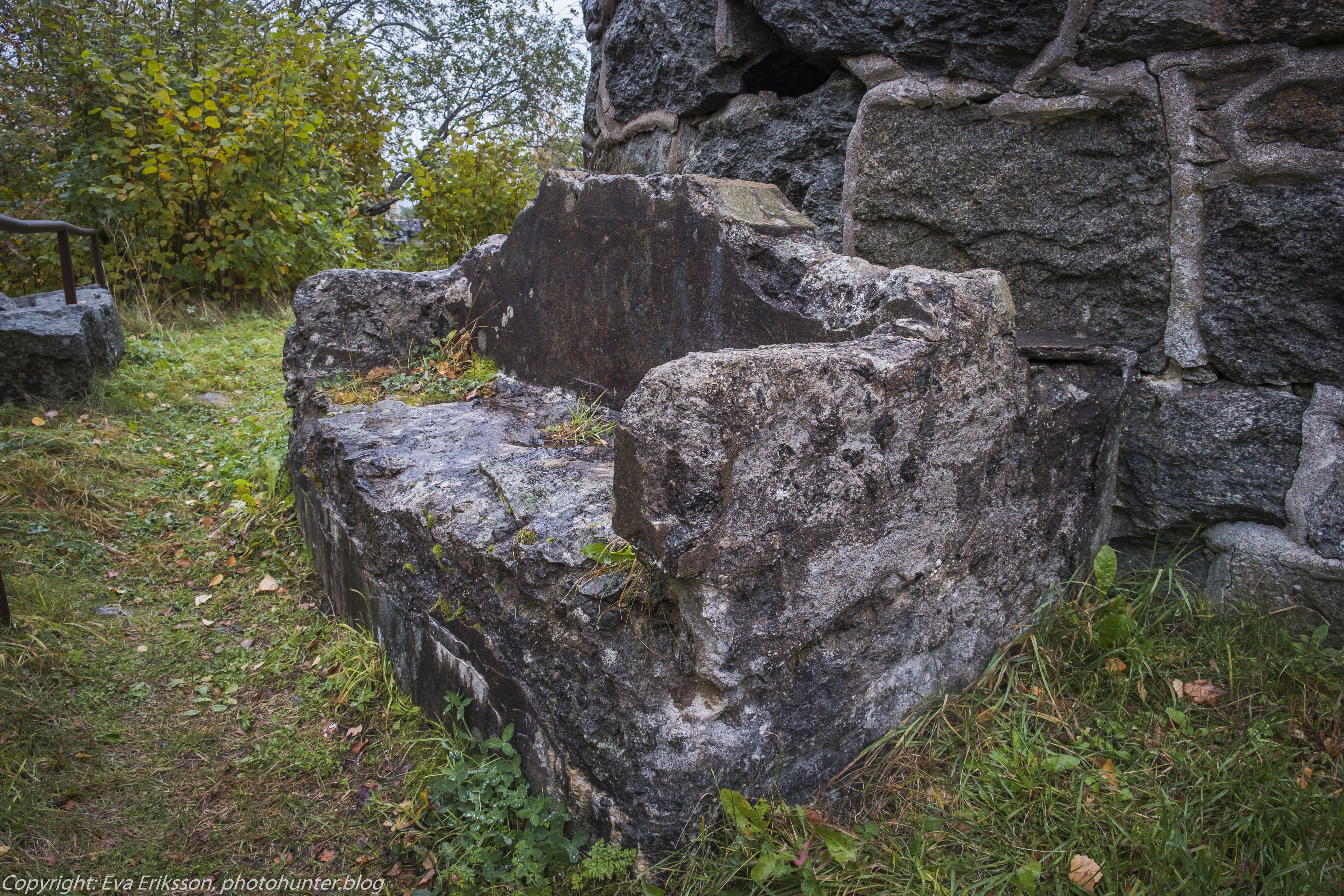 20102020-20102020-_DSF8406