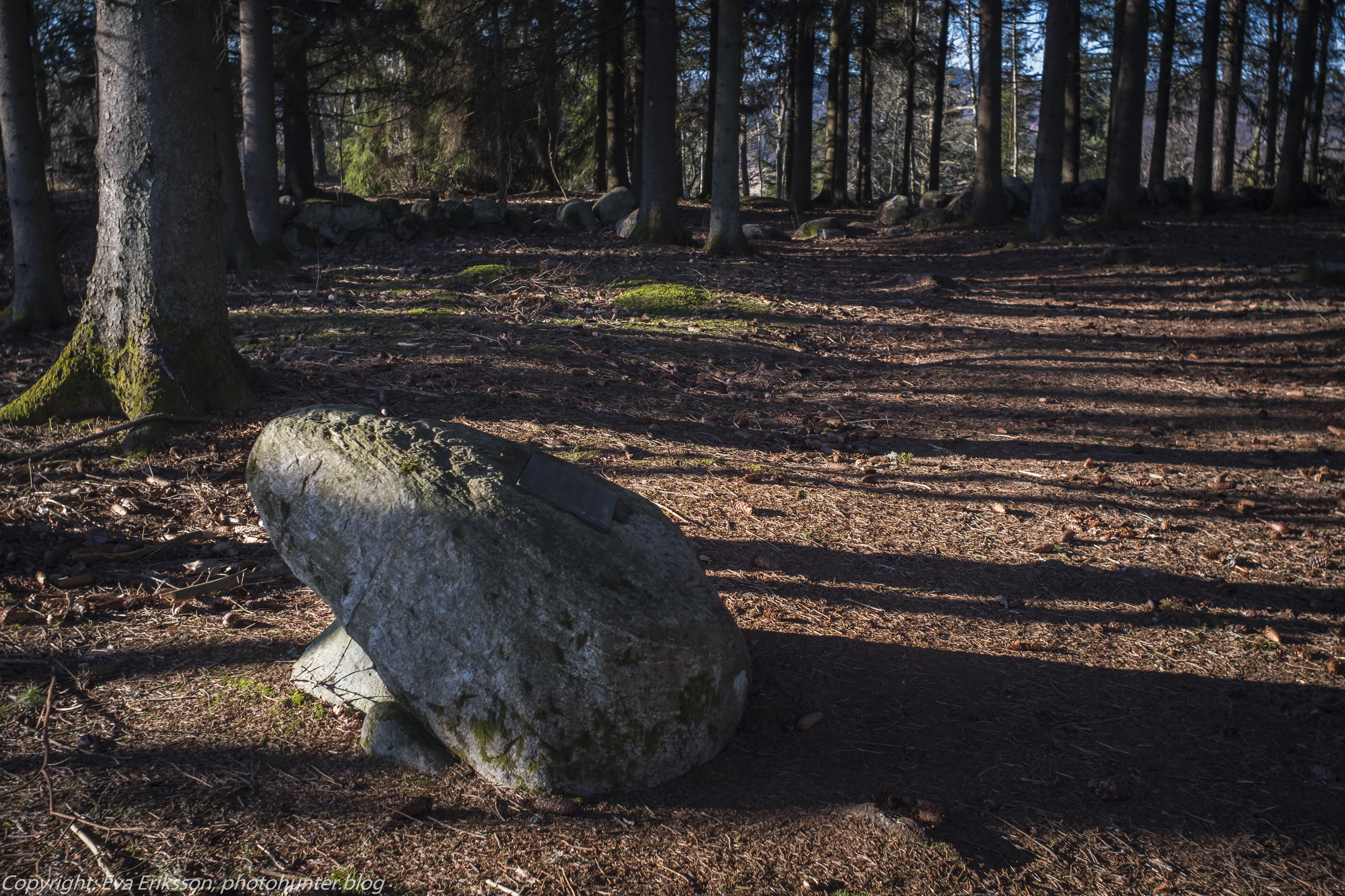 05032021-mamiya 28mm f2.8 tingsberget-10