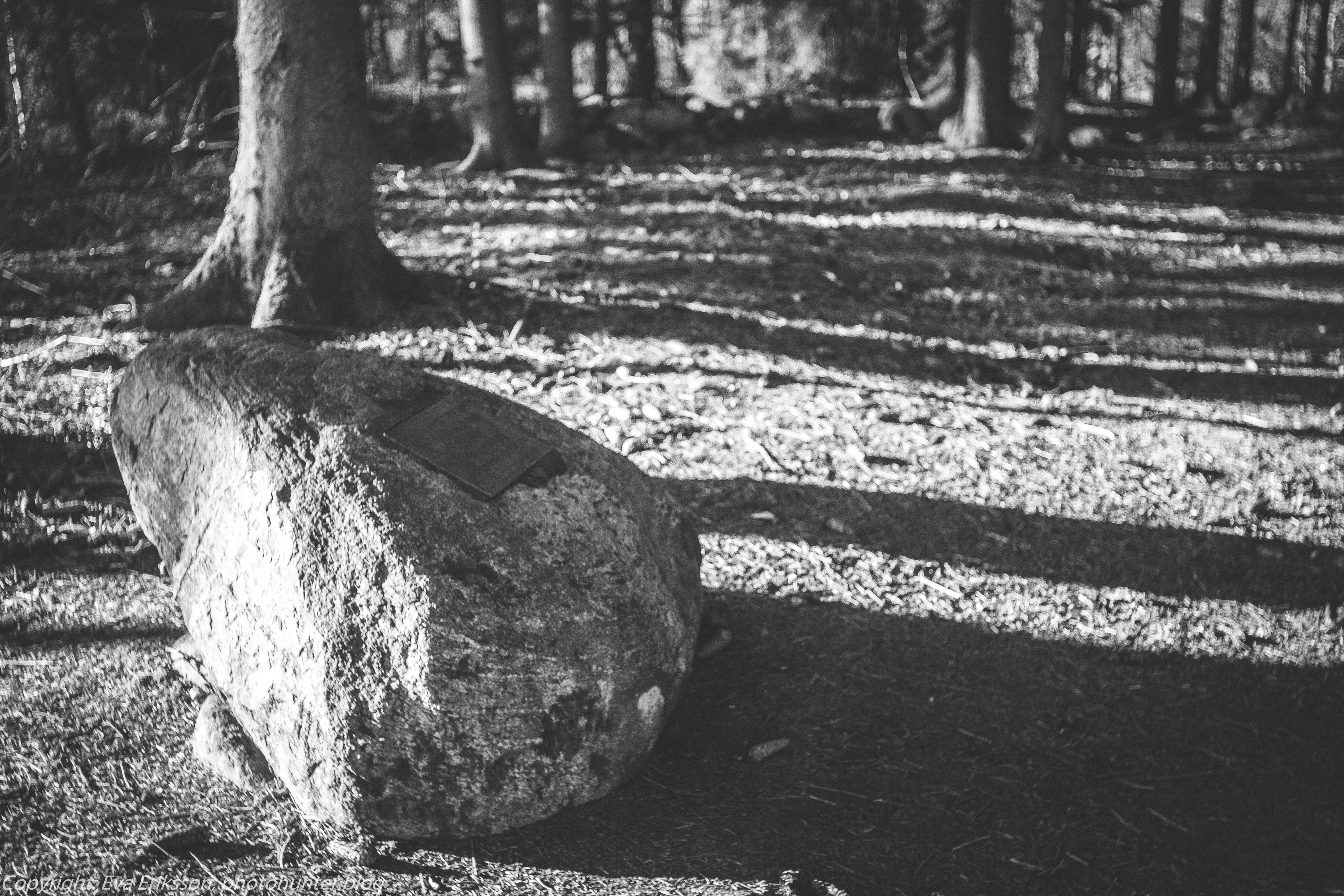 05032021-mamiya 28mm f2.8 tingsberget-3