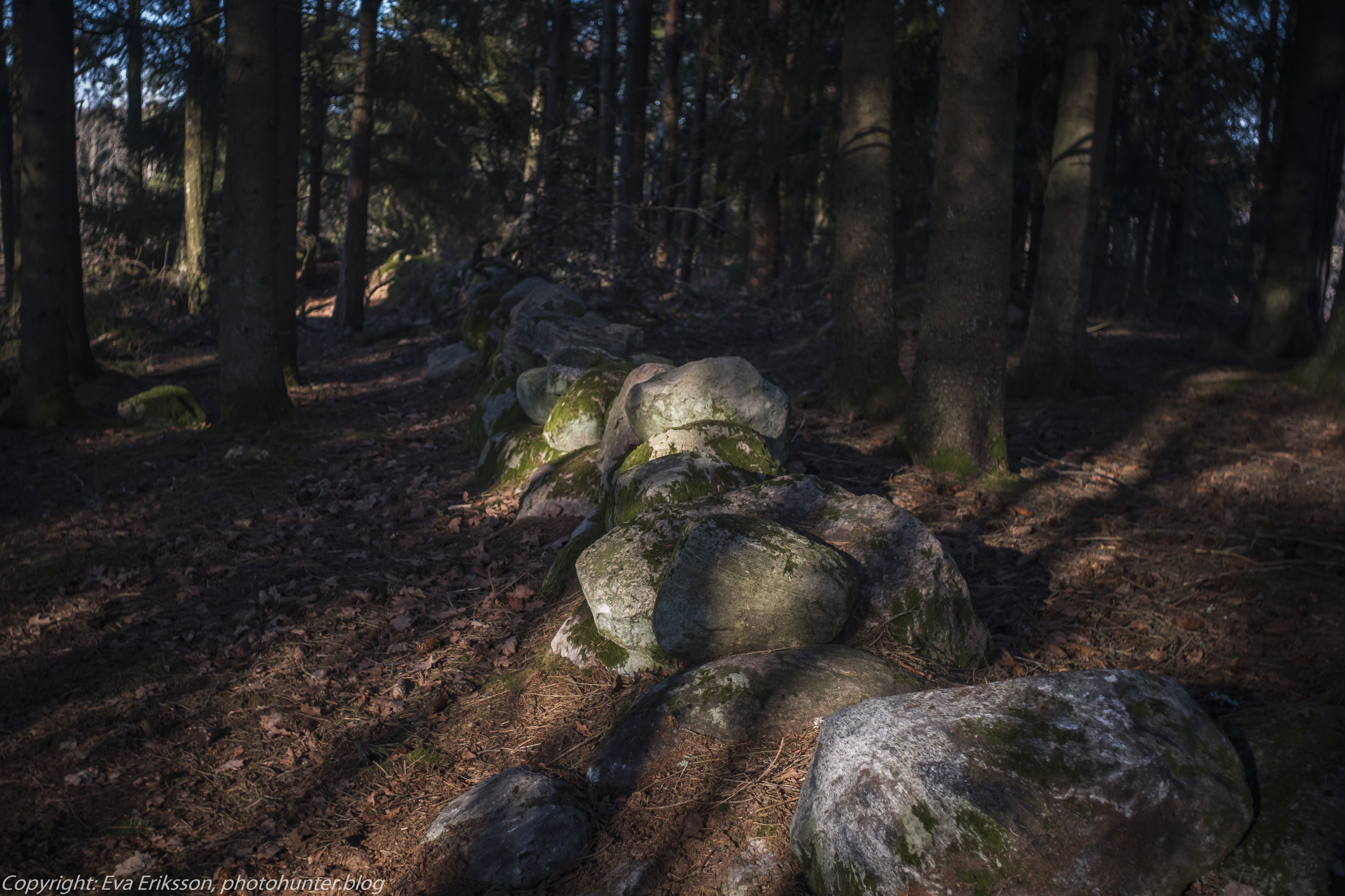 05032021-mamiya 28mm f2.8 tingsberget-5