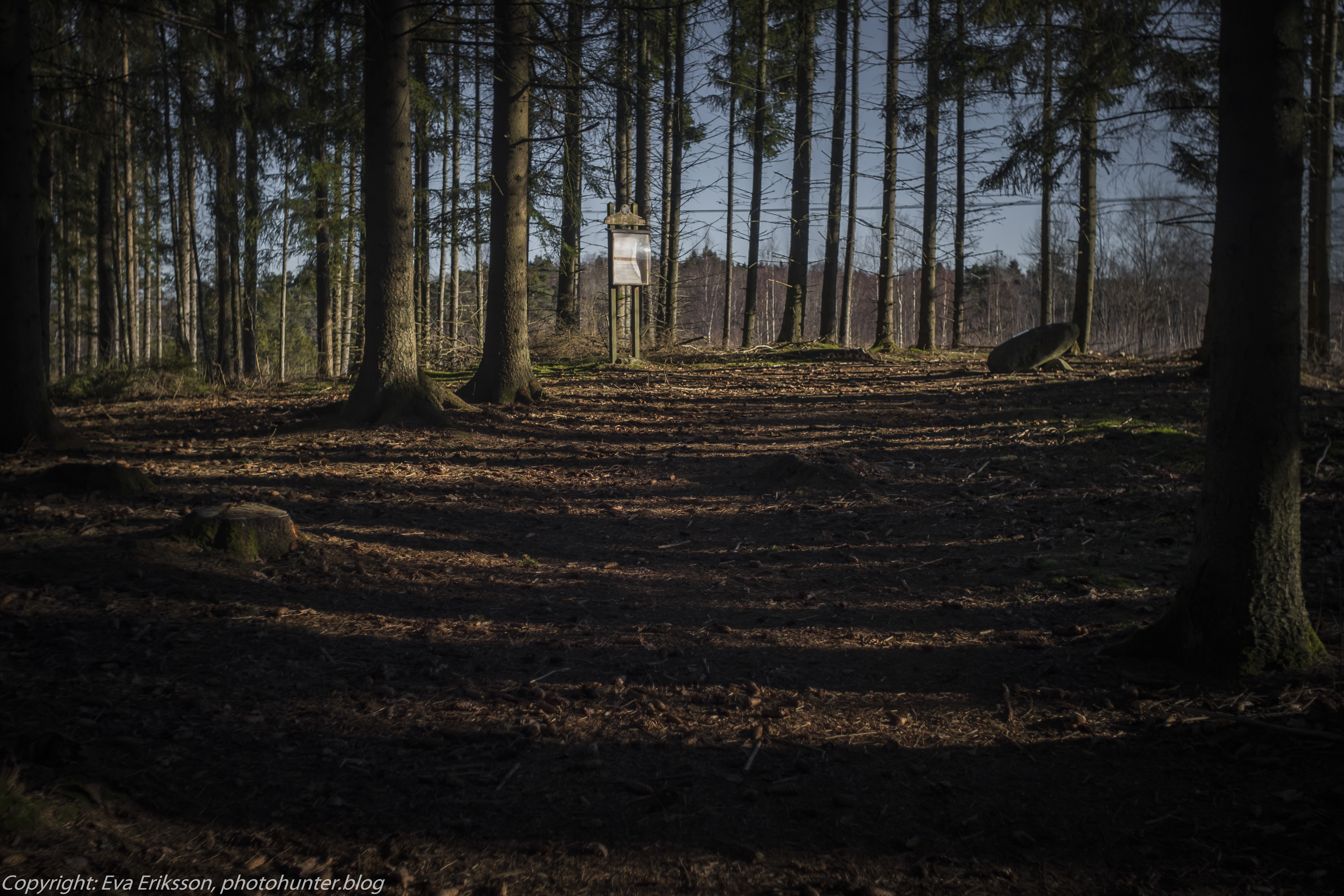 05032021-mamiya 28mm f2.8 tingsberget-6