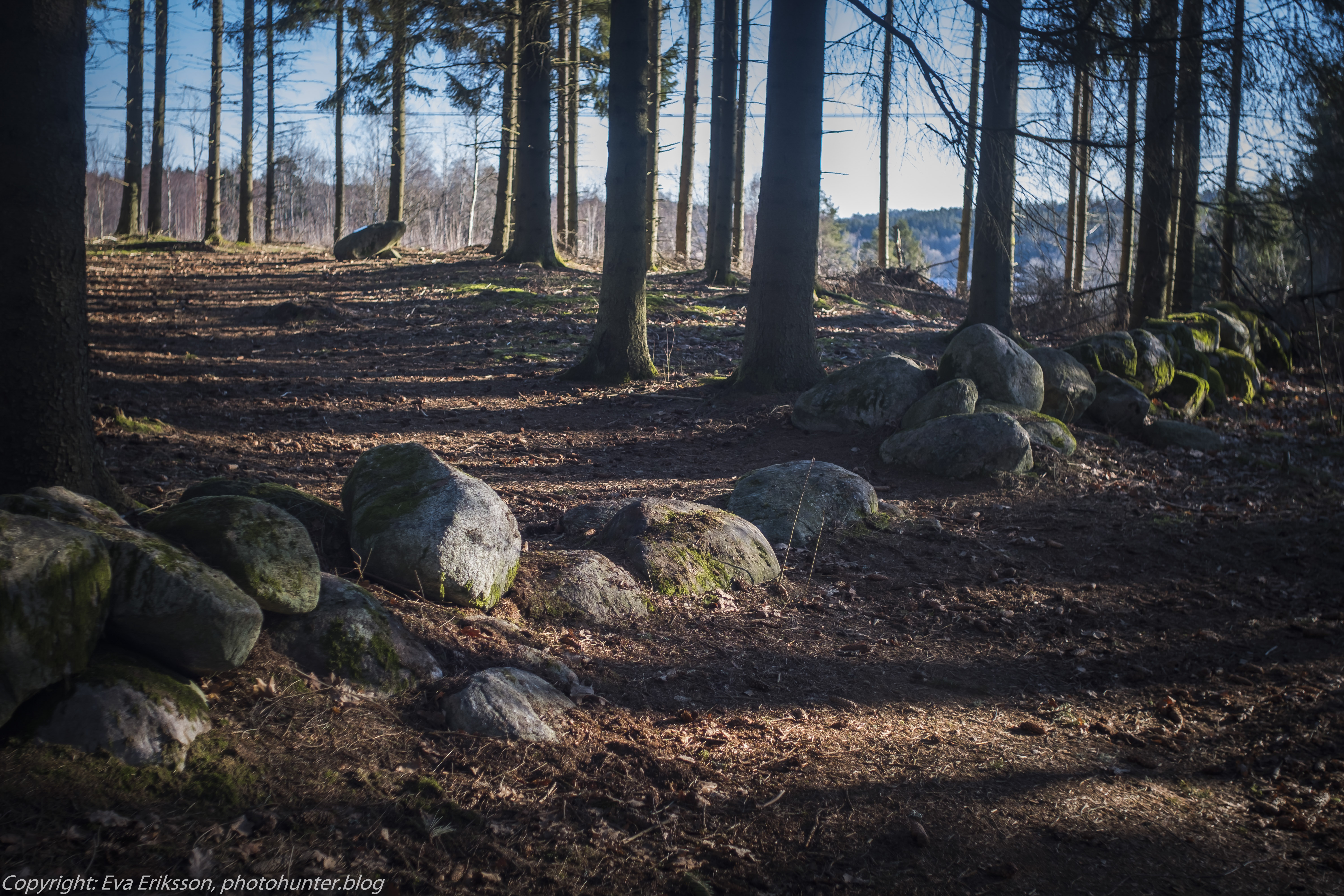 05032021-mamiya 28mm f2.8 tingsberget-7