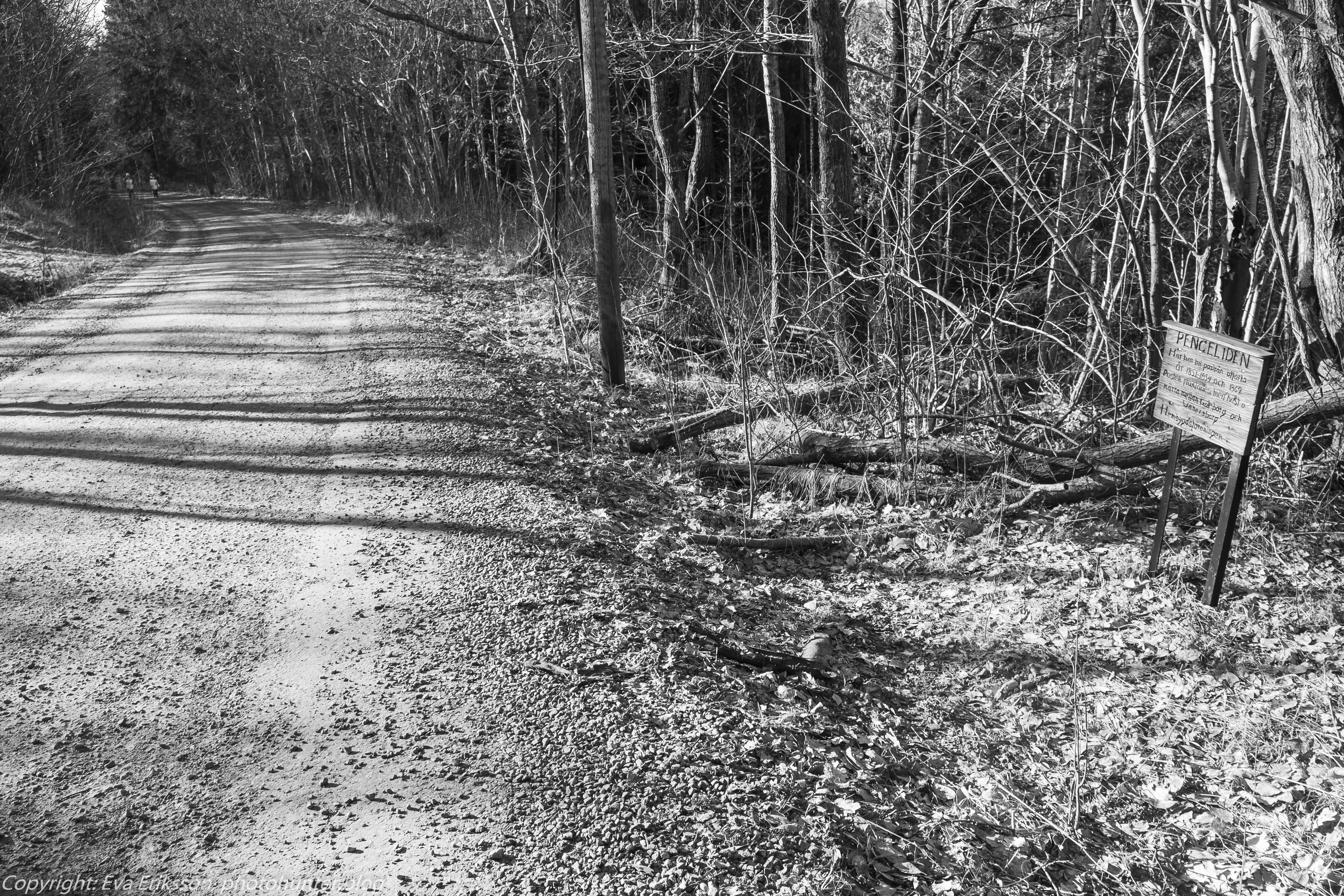 08032021-götavandringen lödöse-2