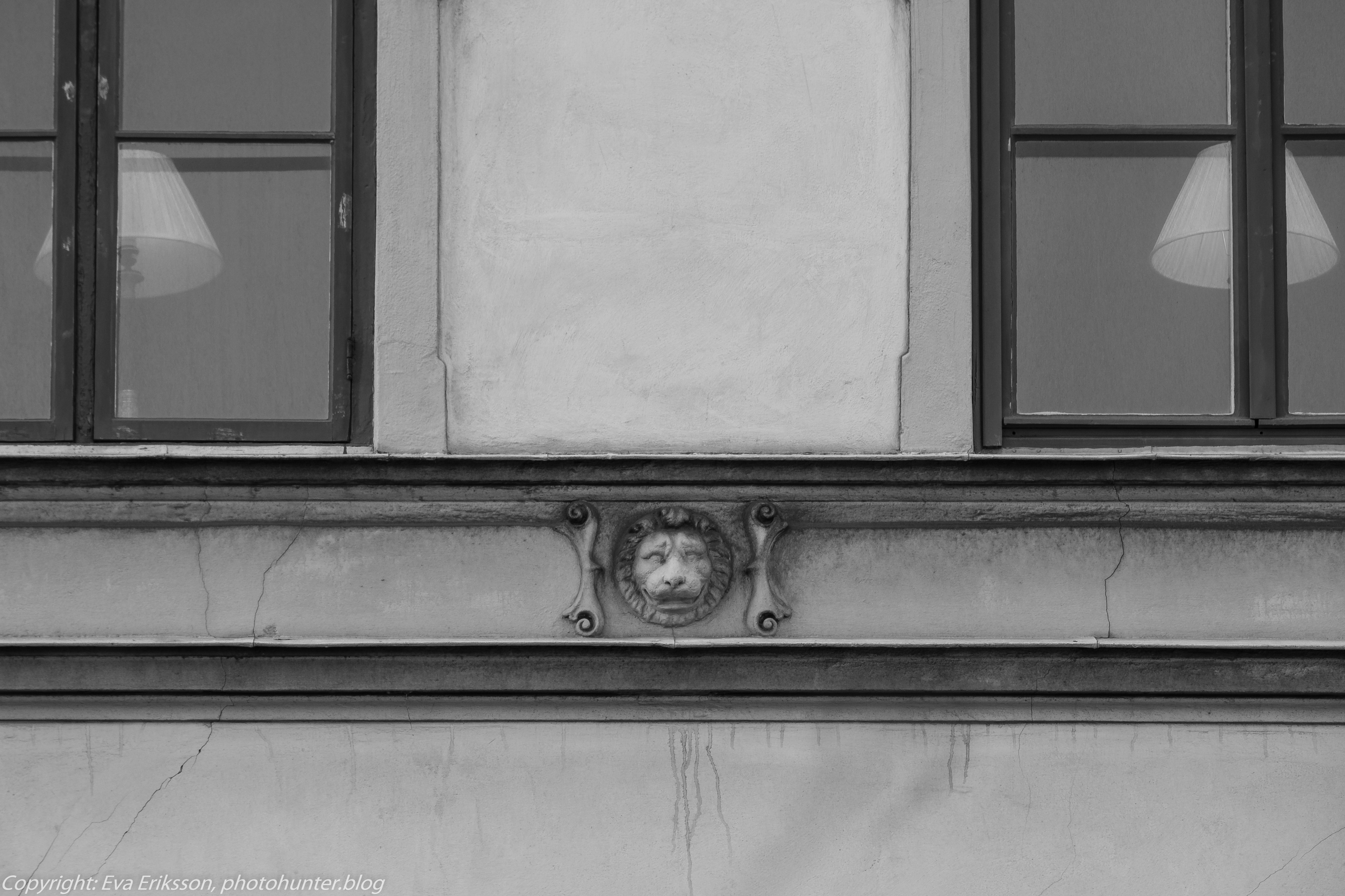 28032021-28032021-_DSF9713